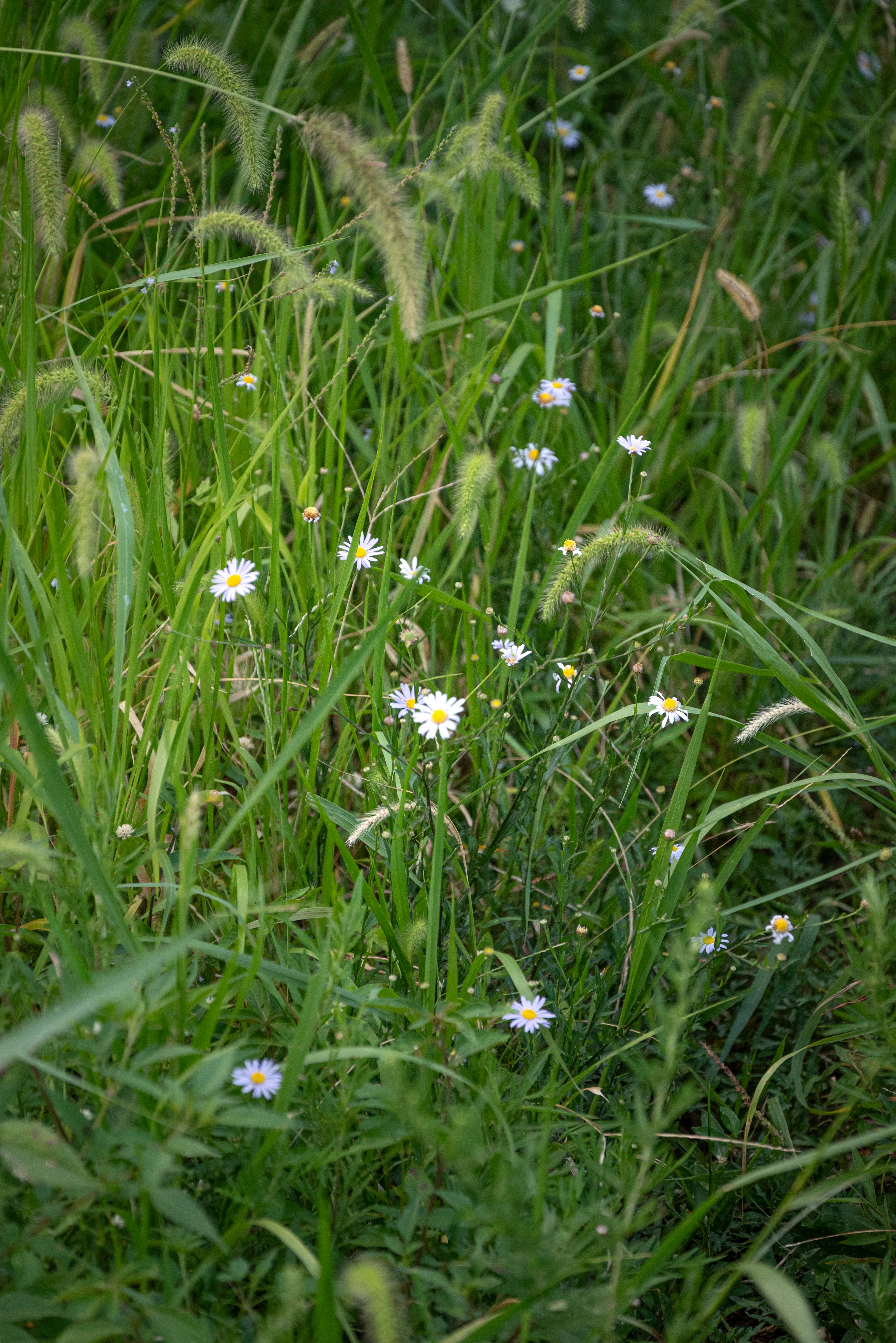 Photo by nikol_royce