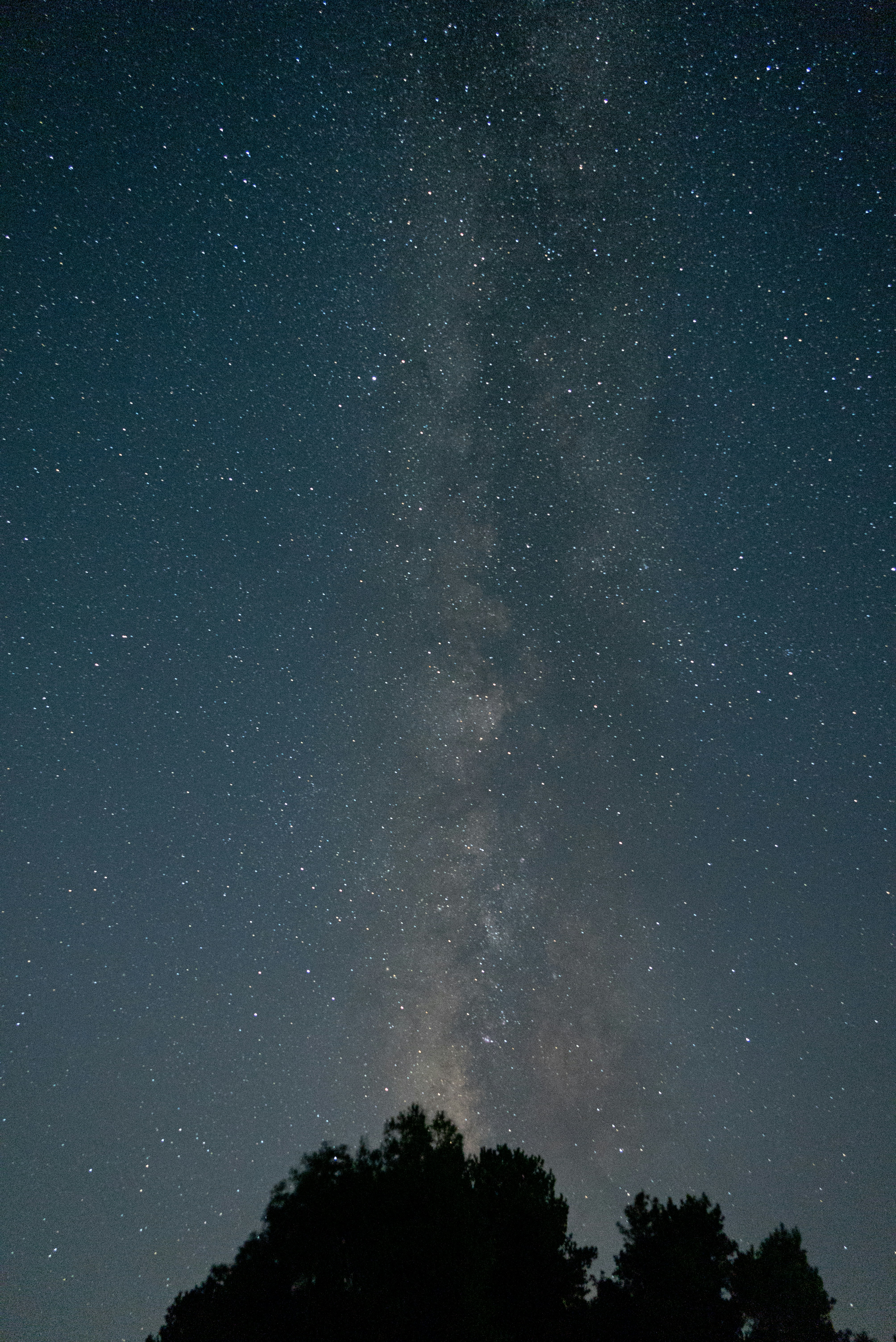 Photo by nikol_royce