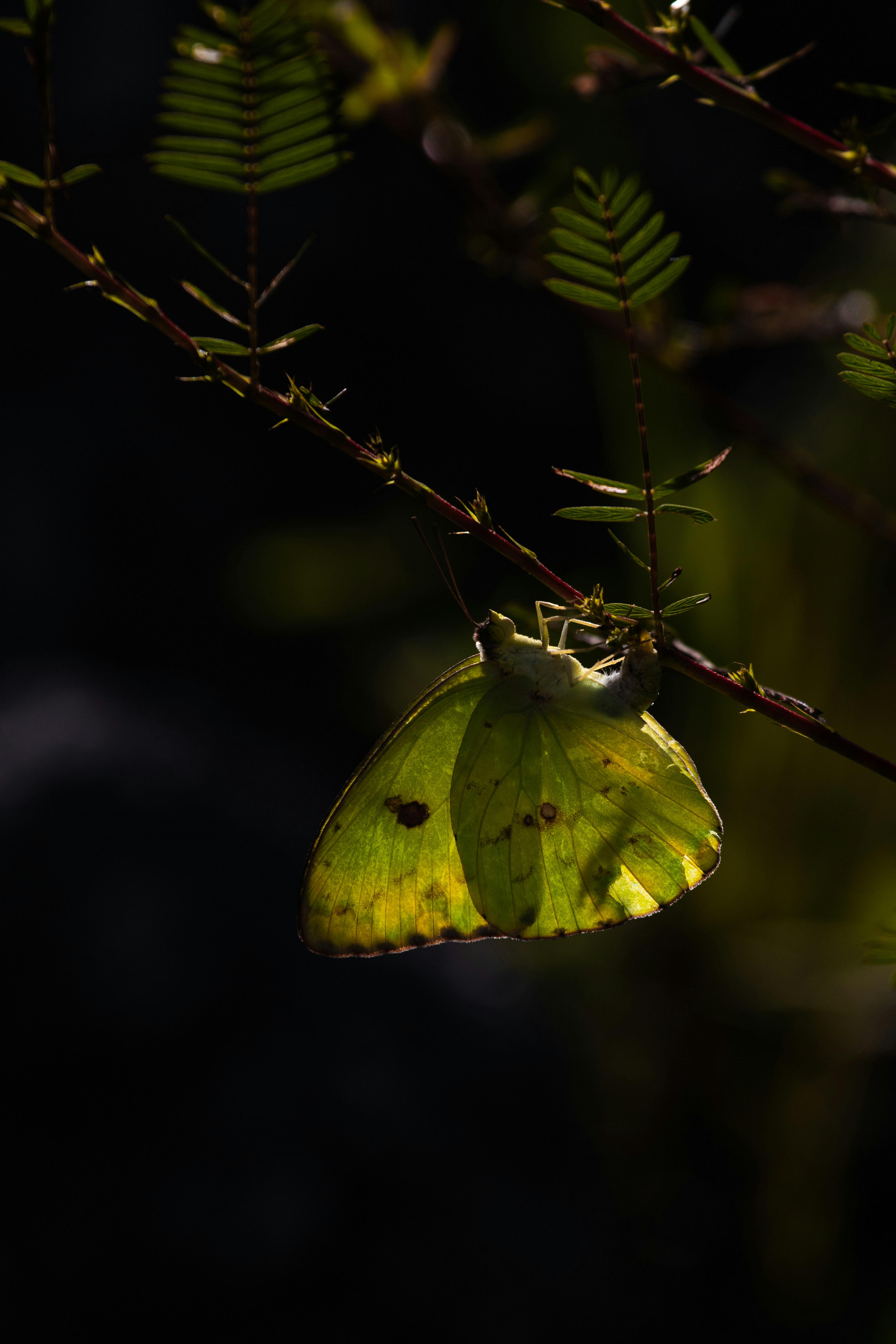 Photo by adriancross05