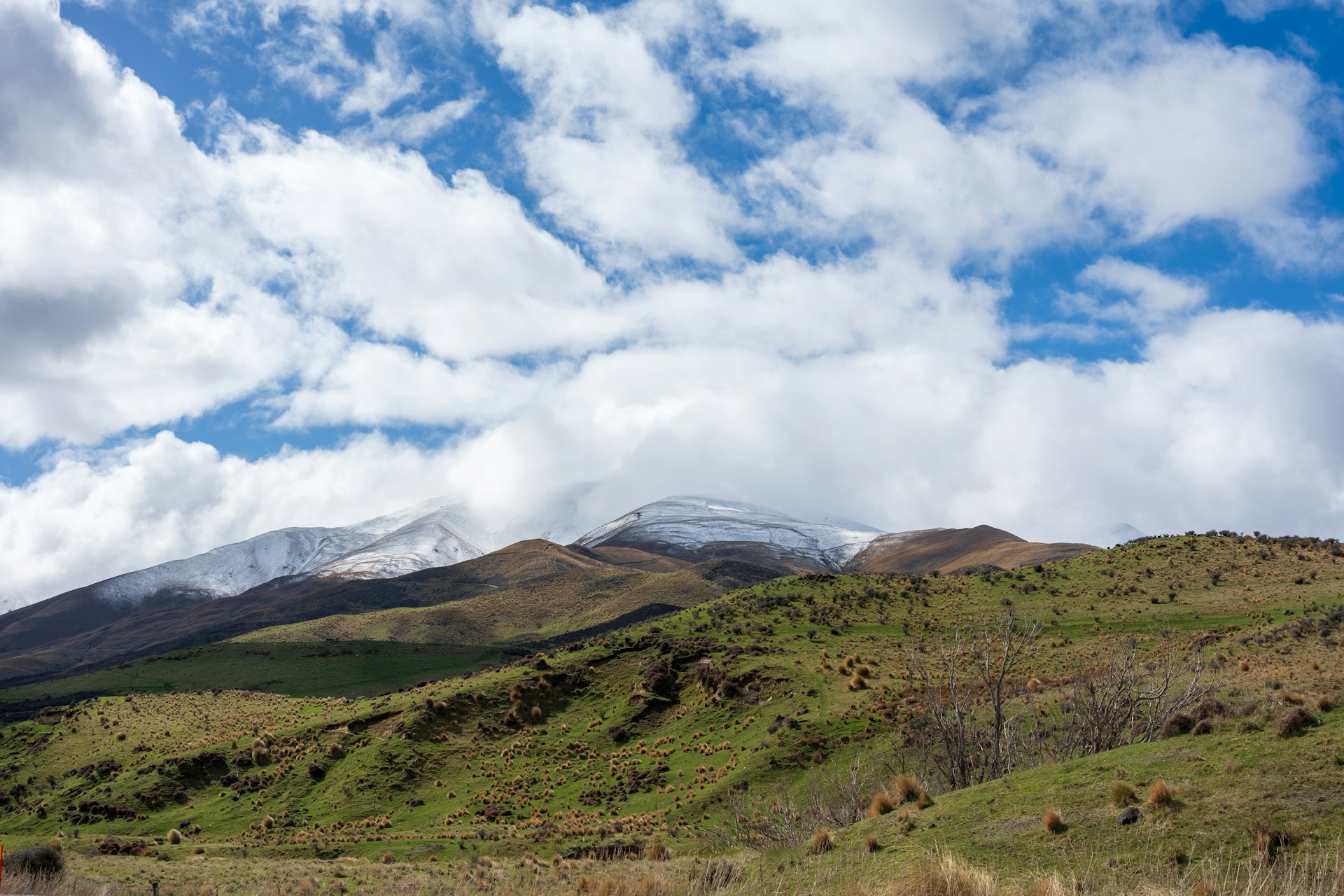 A grassy field with a mountain in the background