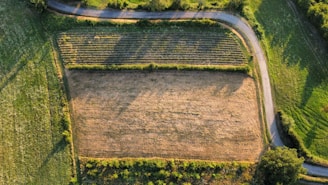 An aerial view of a field with a road running through it