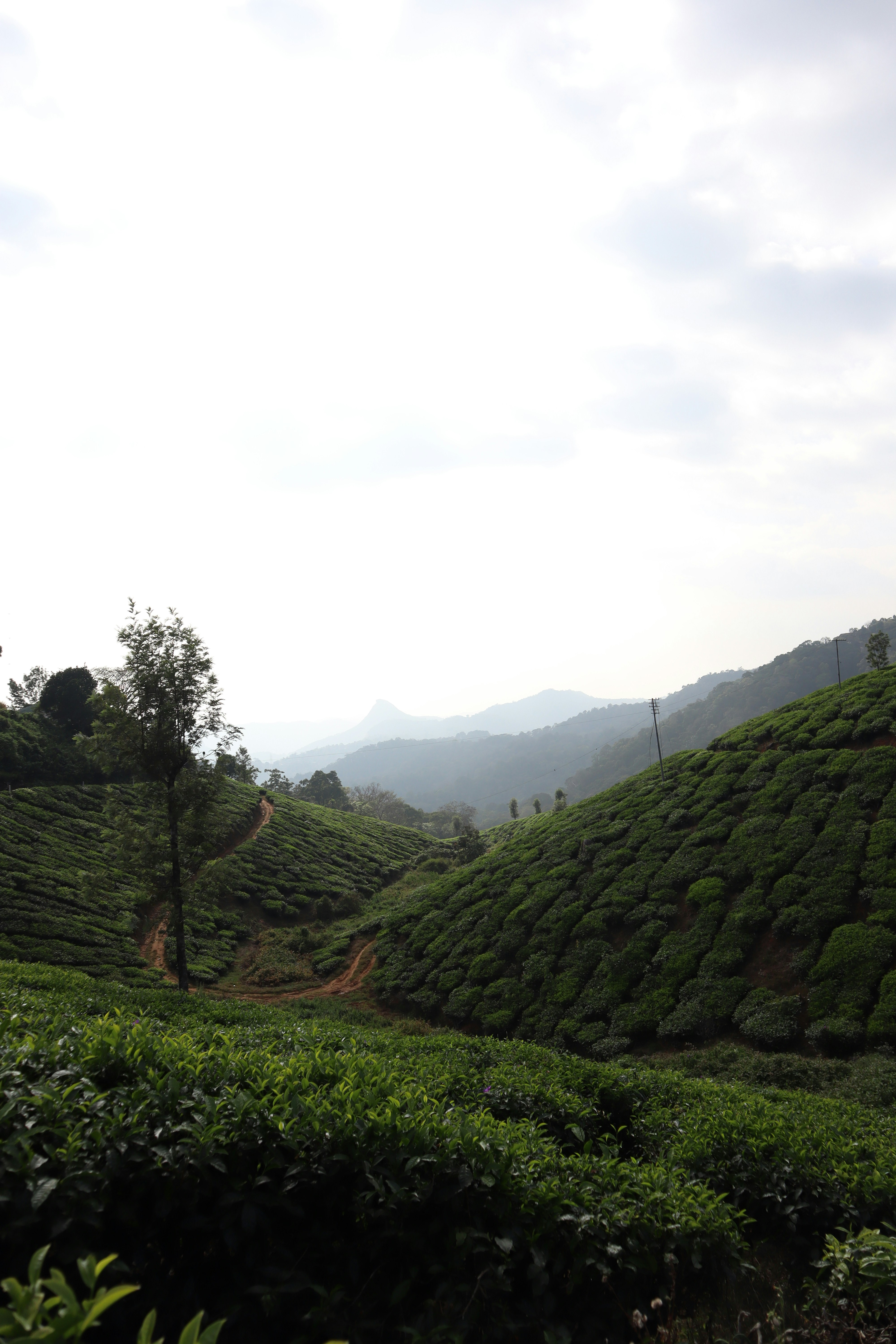 Photo by aditya_sethia_97