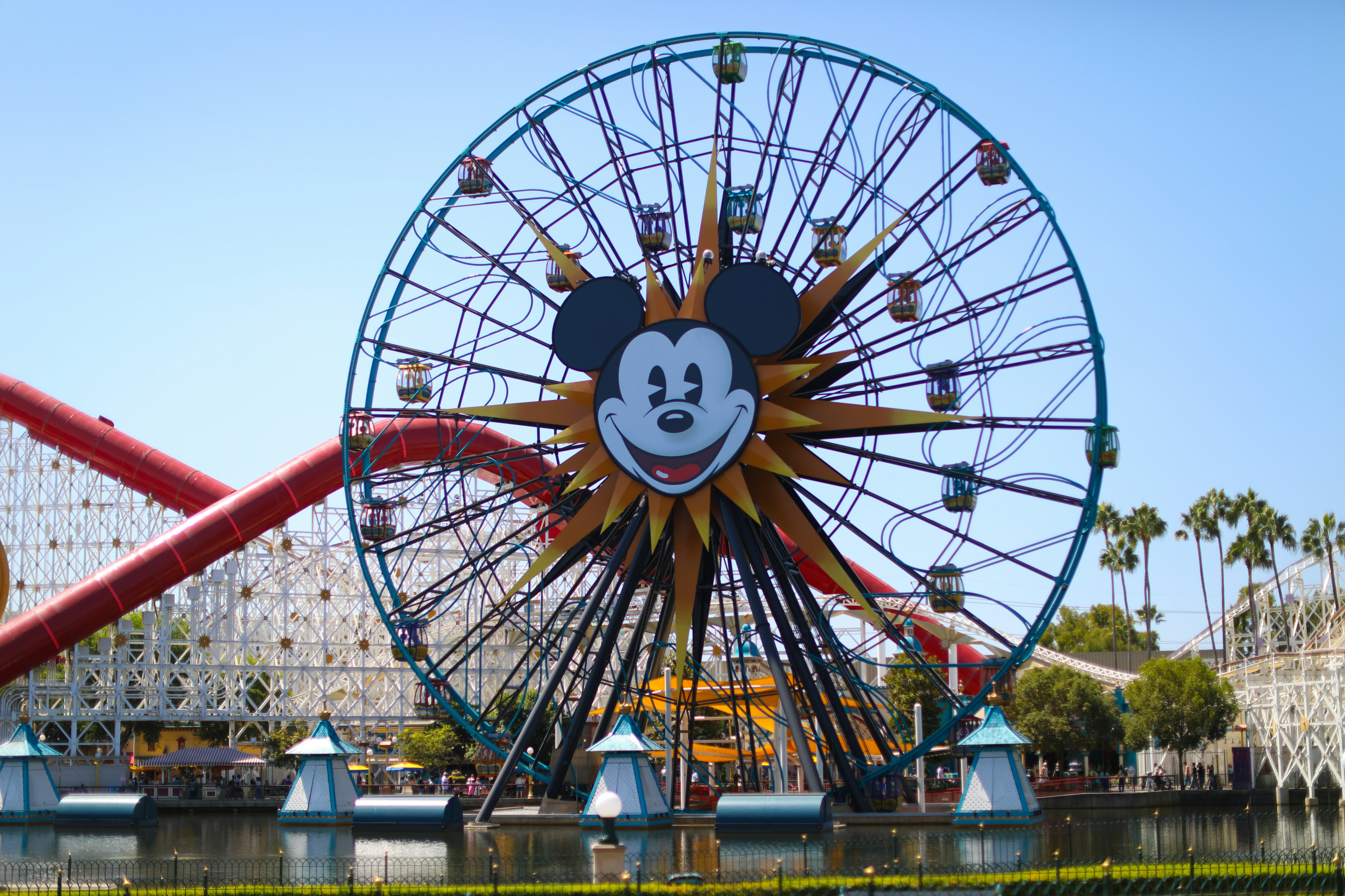 photo-1724832043892-826d736901e1?ixid=M3wxMjA3fDB8MXxzZWFyY2h8MTUyfHwlRDElODAlRDElODMlRDElODElRDElODElRDAlQkElRDAlQjglRDAlQjUlMjAlRDElODQlRDAlQjglRDAlQkIlRDElOEMlRDAlQkMlRDElOEIlMjAyMDI0fGVufDB8fHx8MTczMzQxMDU3OXww%5Cu0026ixlib=rb-4.0.3