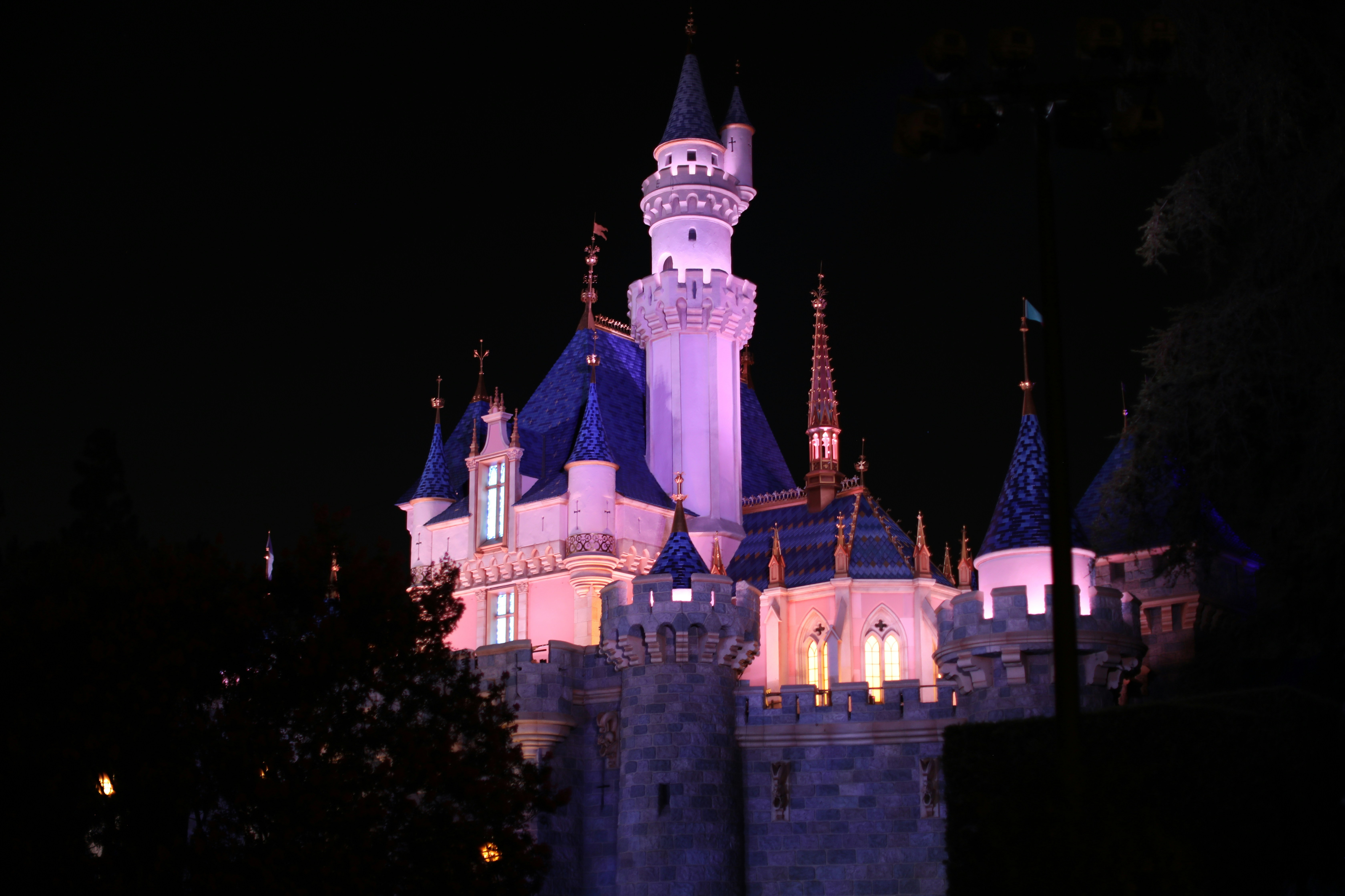 photo-1724832050241-1dea7df5e052?ixid=M3wxMjA3fDB8MXxzZWFyY2h8MTMwfHxTRU8lMjAyMDI0fGVufDB8fHx8MTczMjk1MTI1N3ww%5Cu0026ixlib=rb-4.0.3