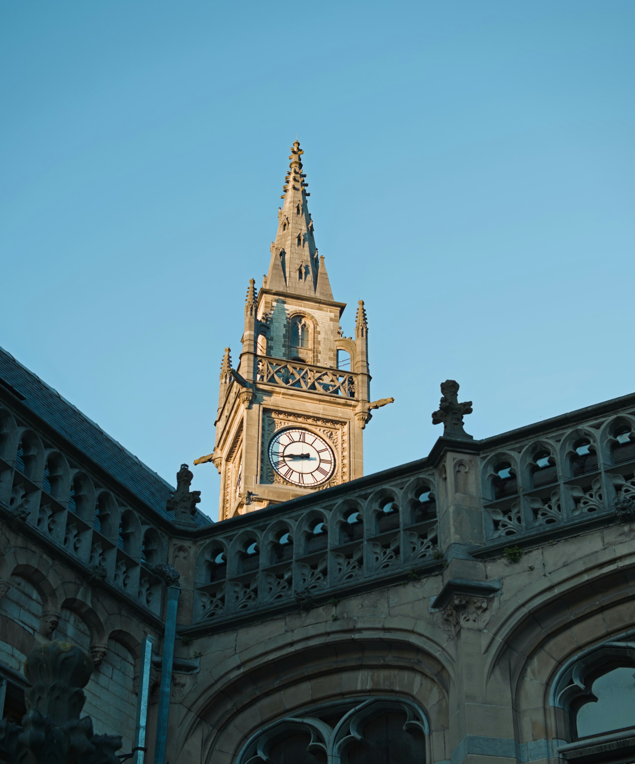 Photo by donkeyradish