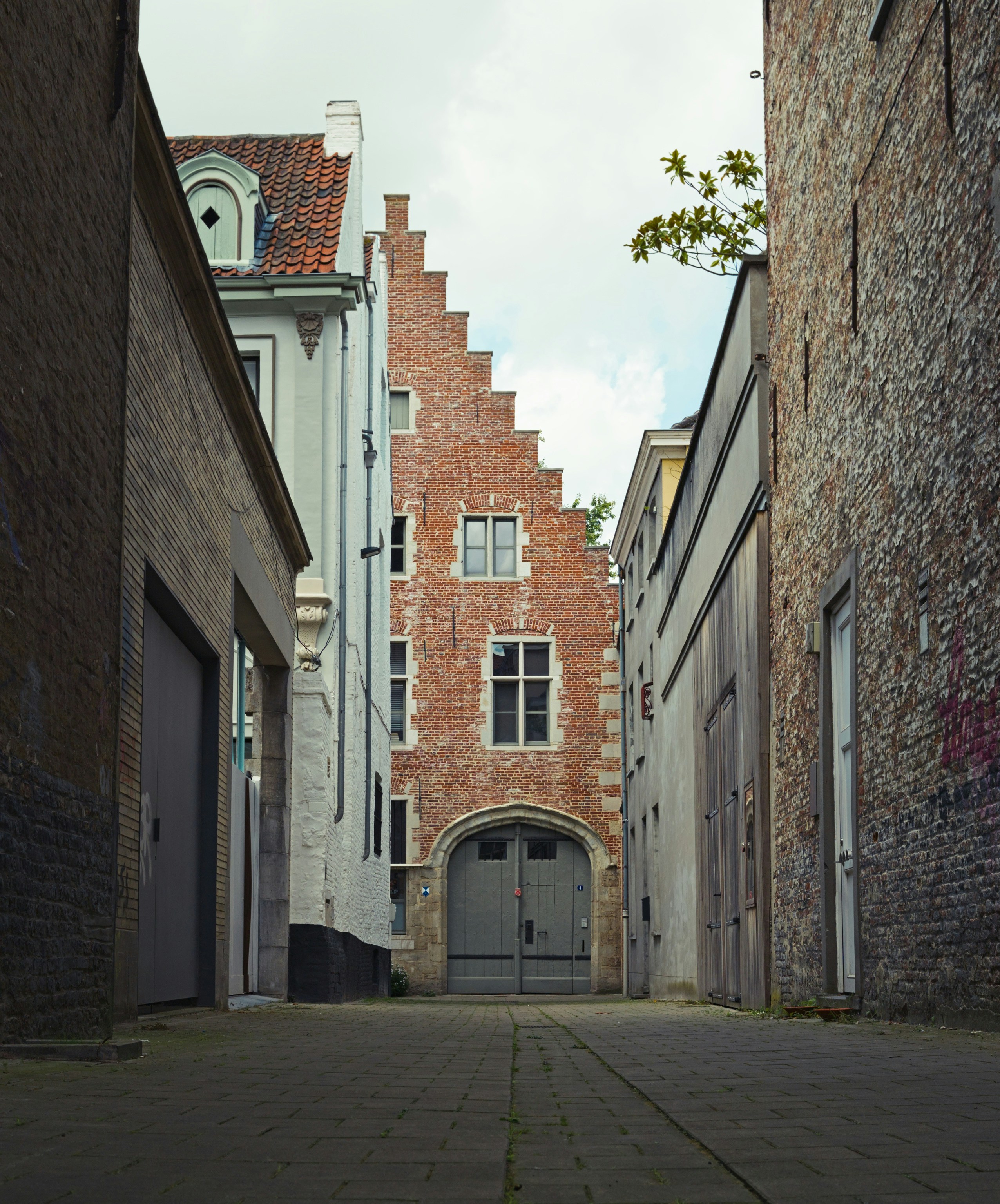 Photo by donkeyradish