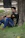 A man sitting under a tree on the grass