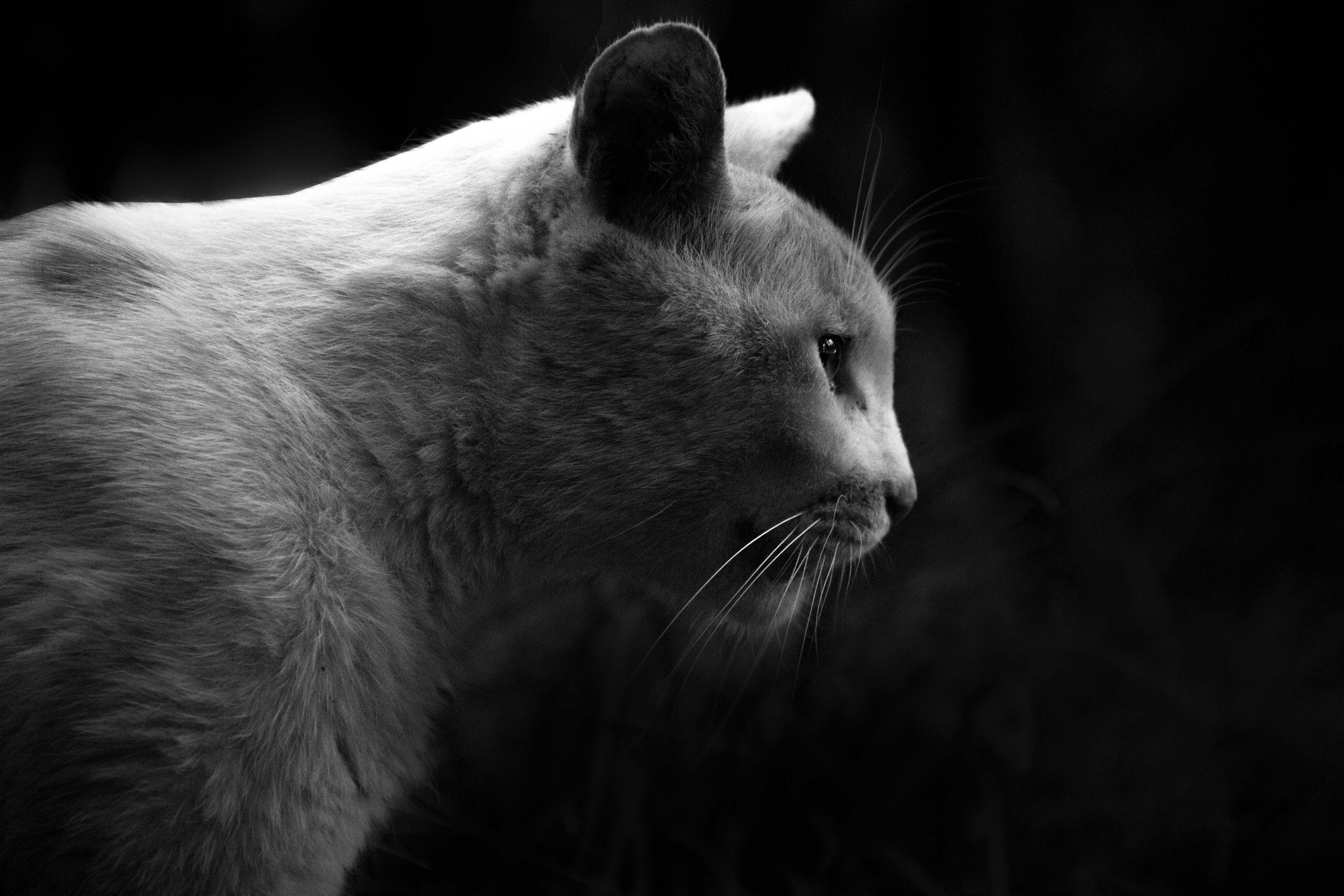 Photo by wangzuokang