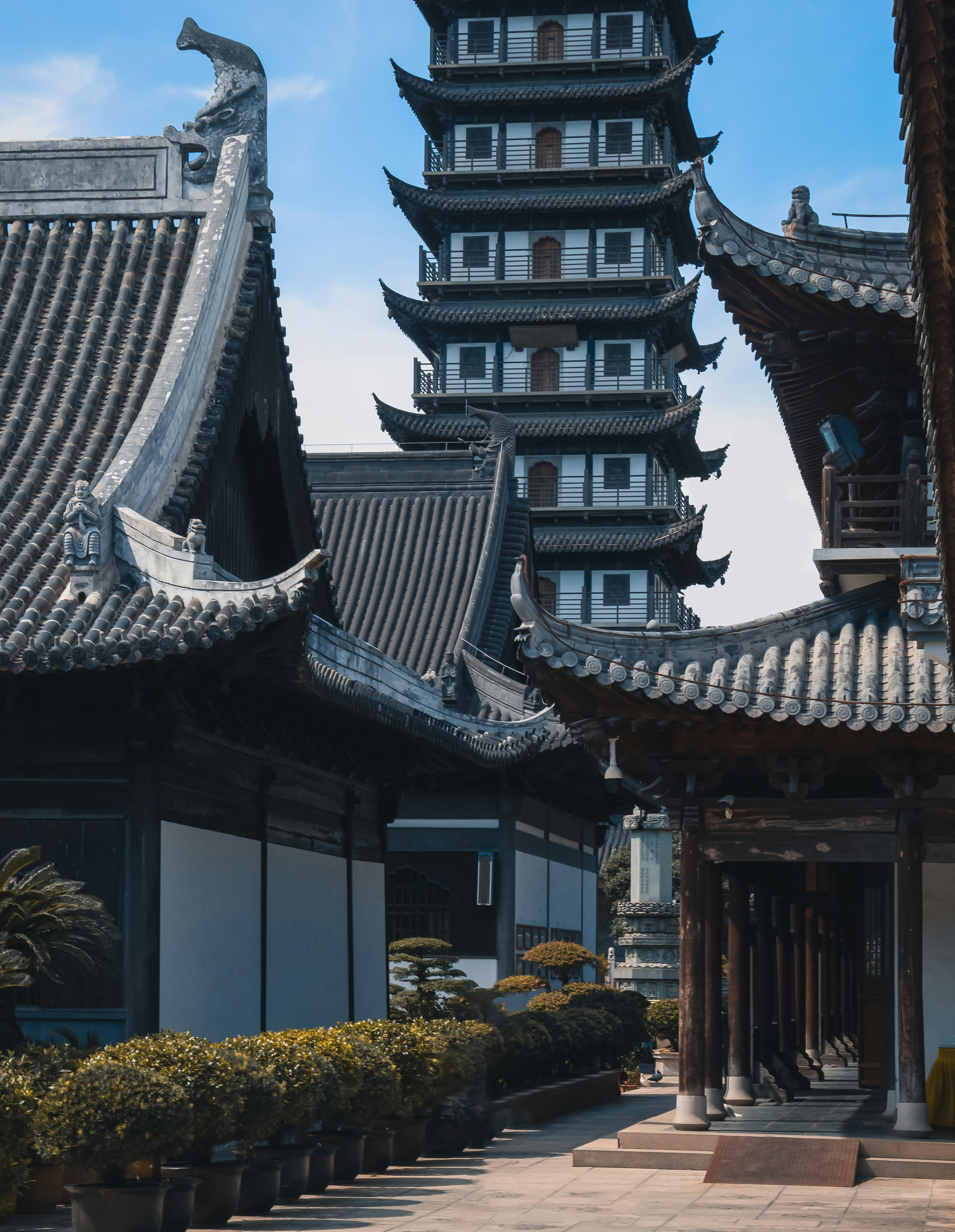 Photo by wangzuokang