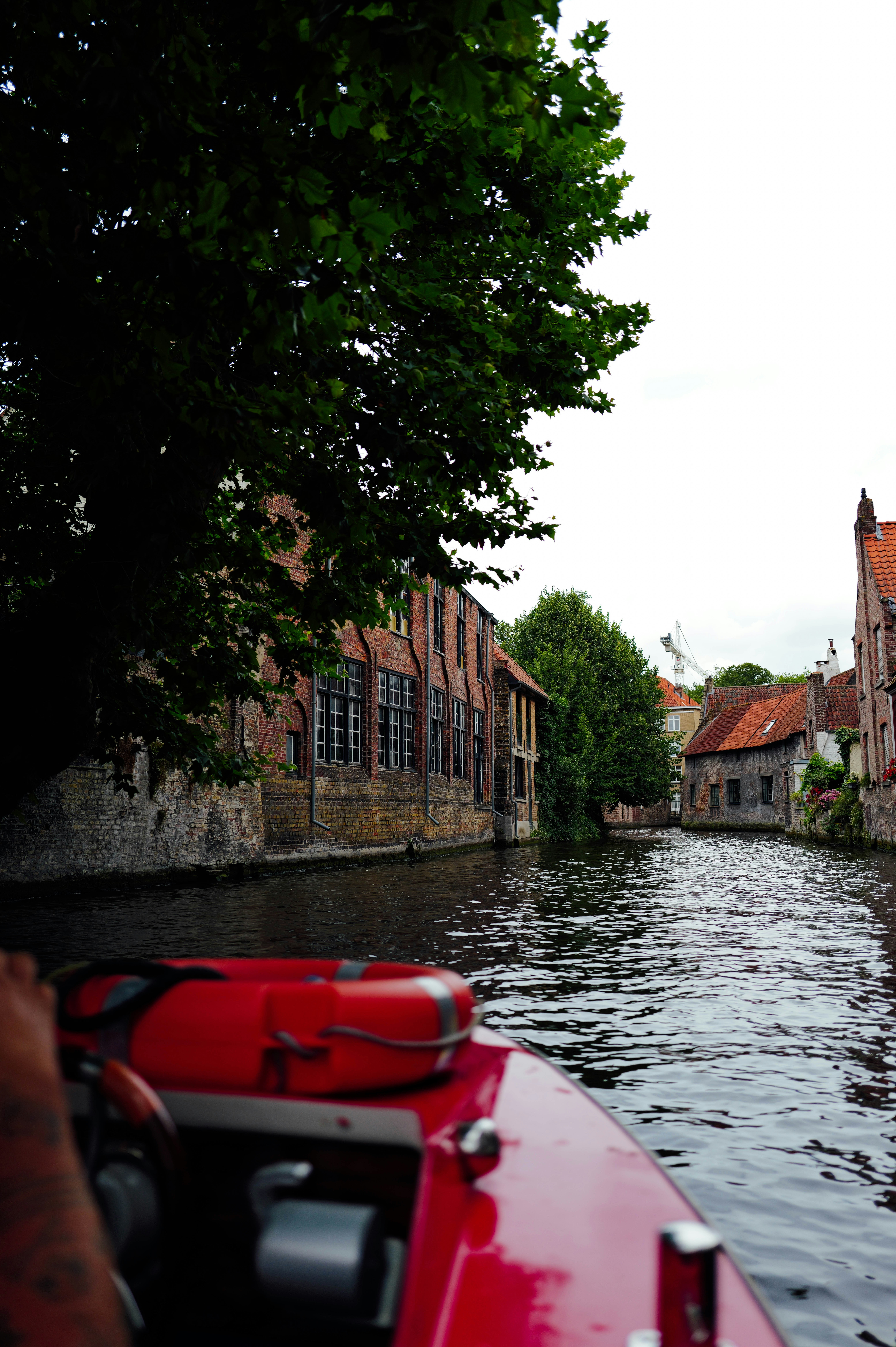 Photo by adrienolichon