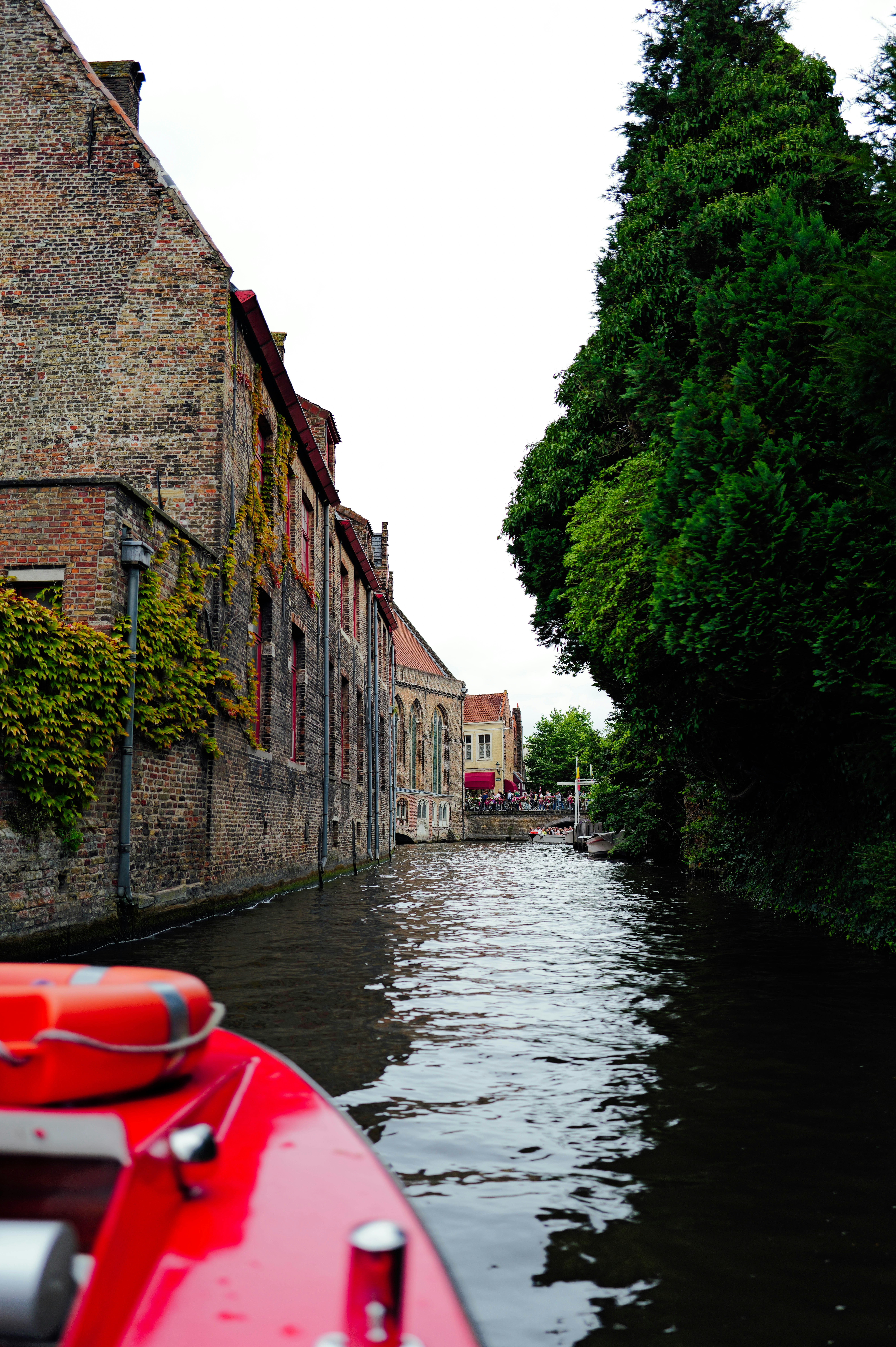 Photo by adrienolichon