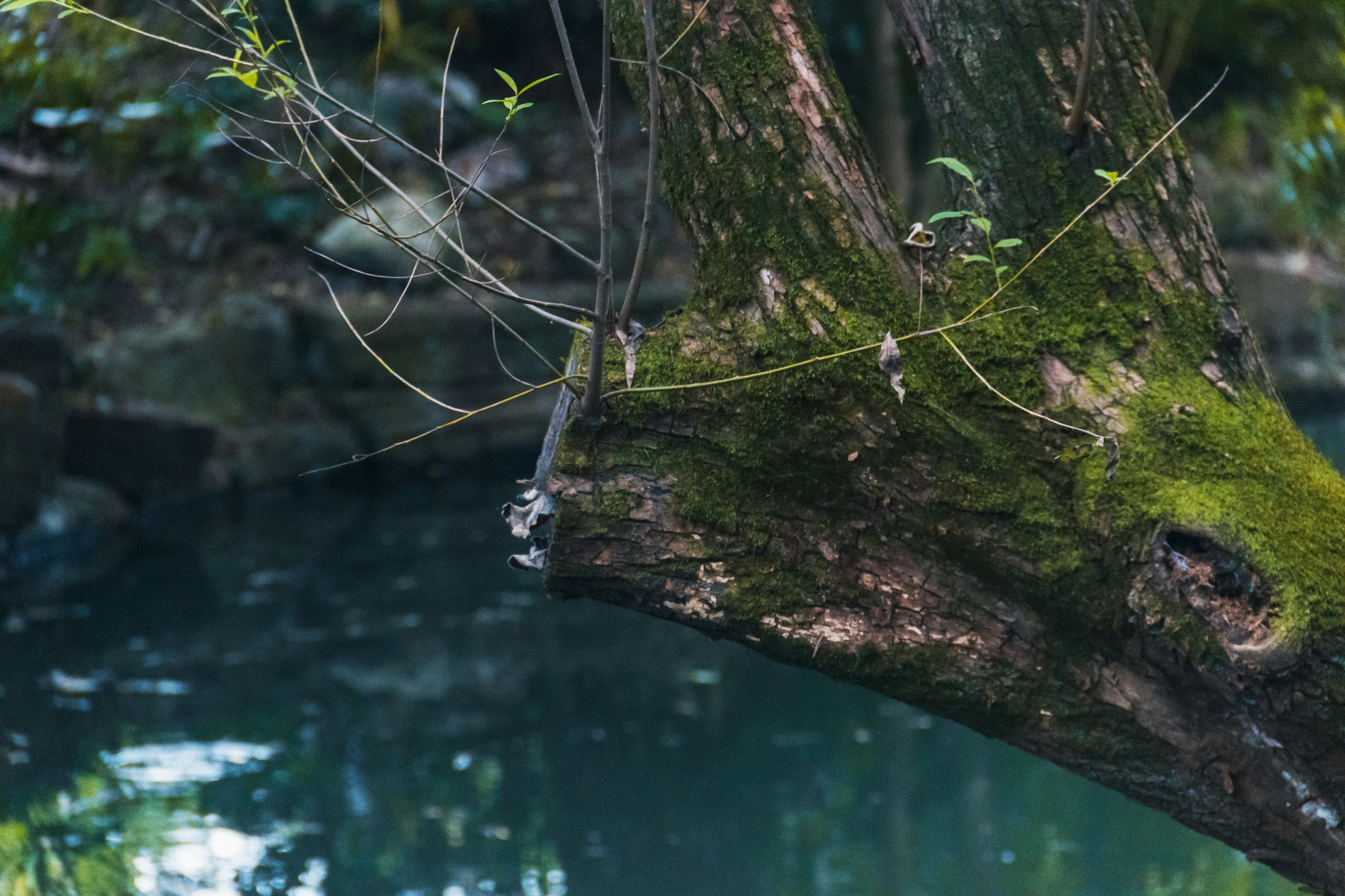 Photo by wangzuokang