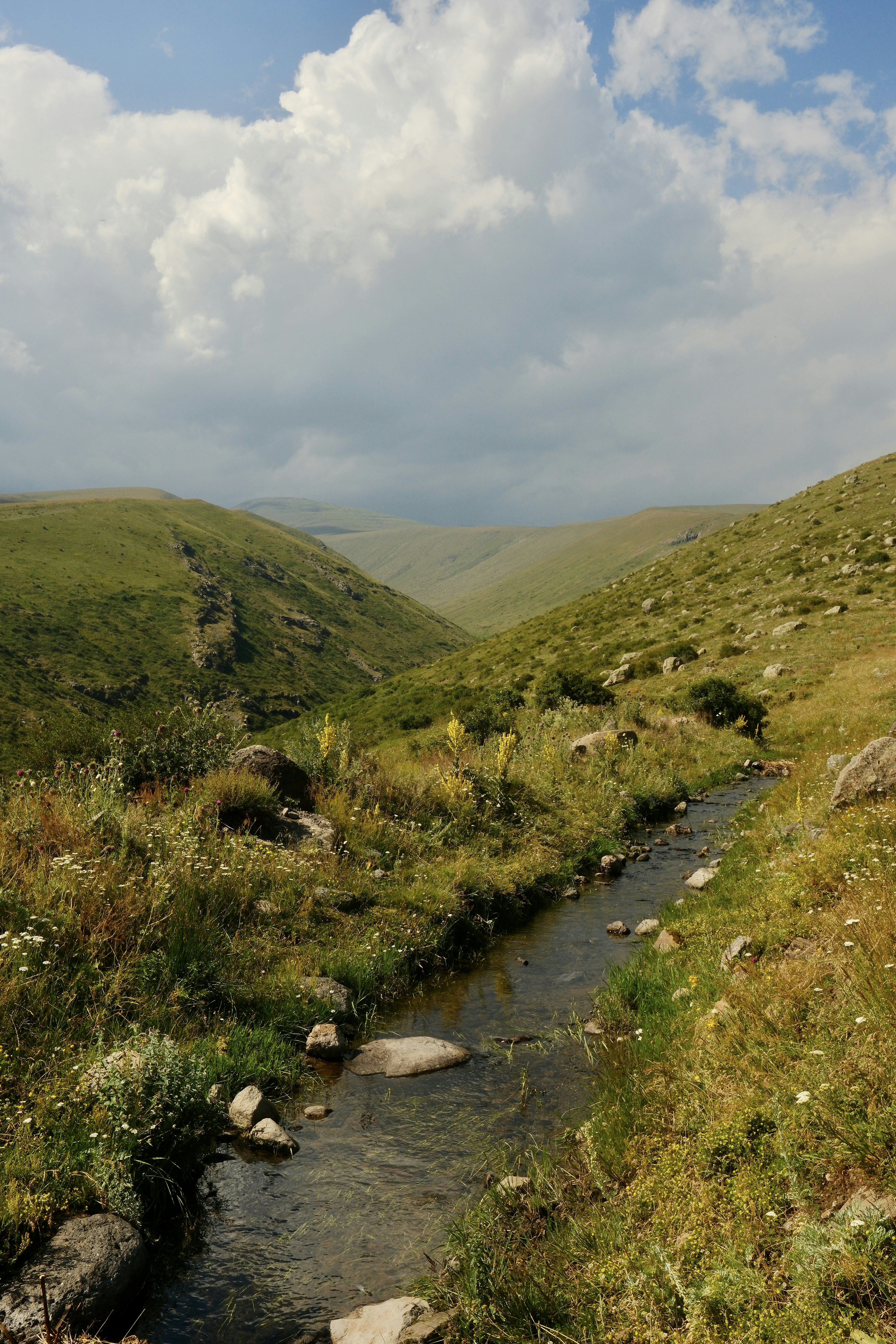 Photo by alekseixagafonov