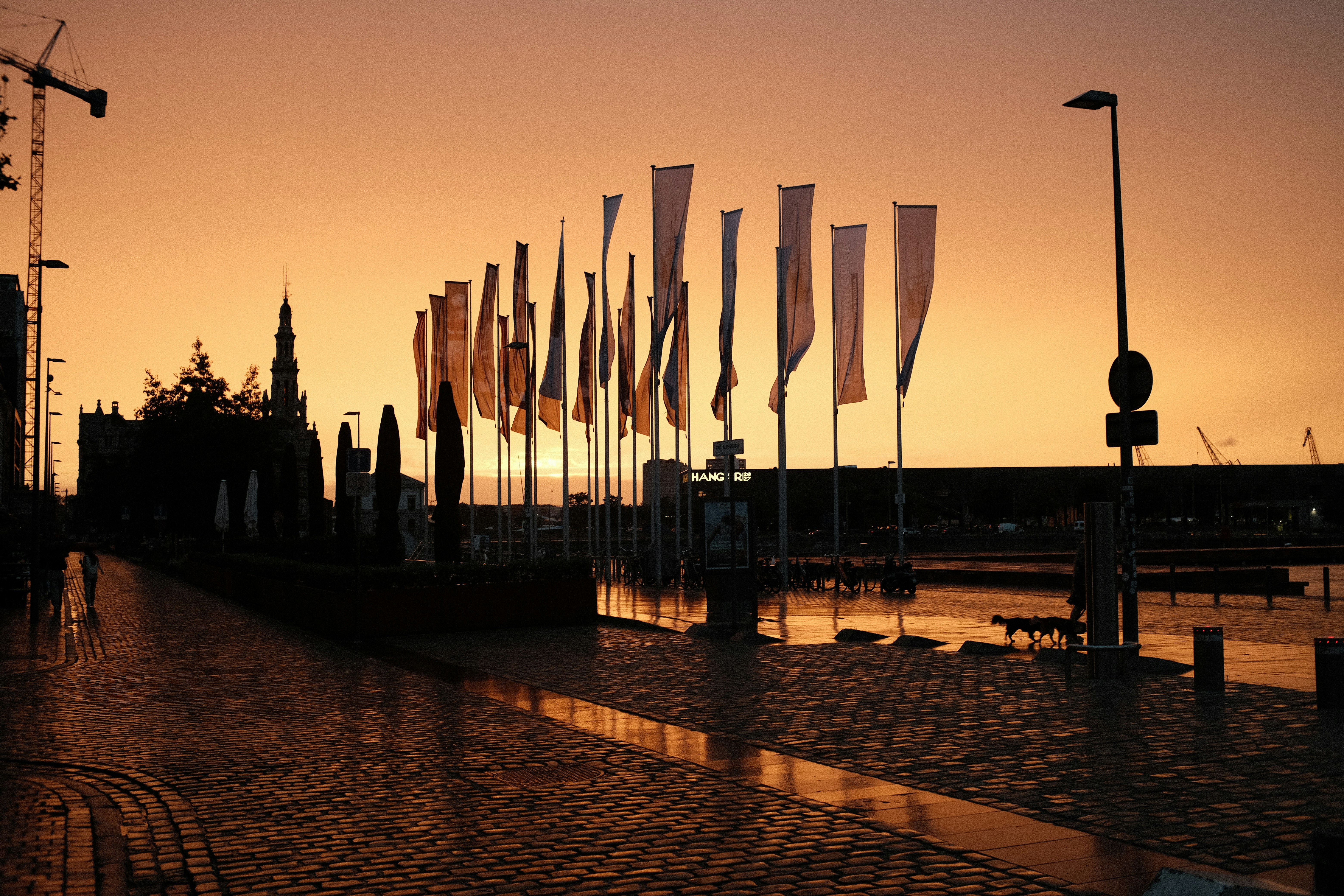 A group of flags flying in the air at sunset