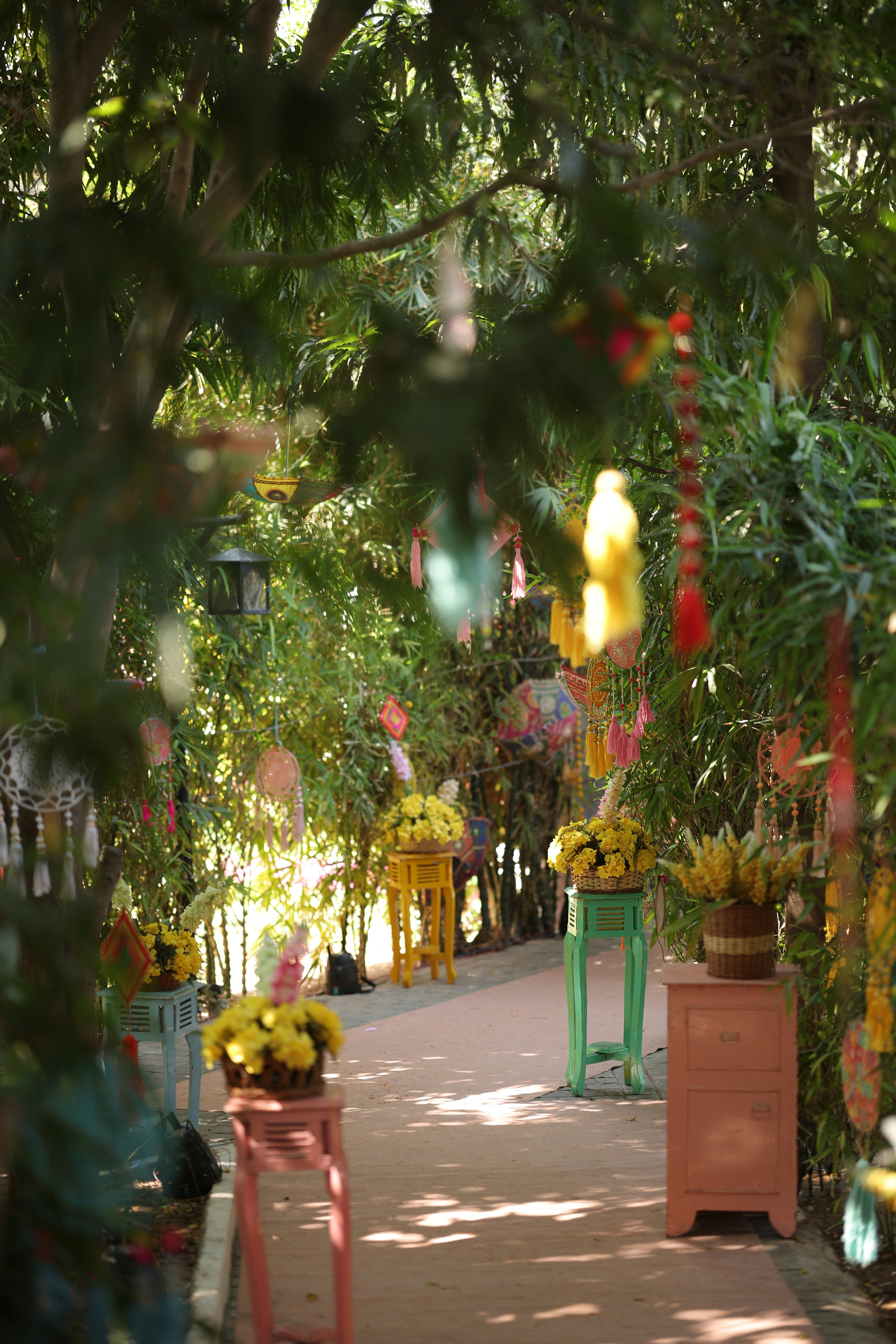 A walkway lined with potted plants and trees