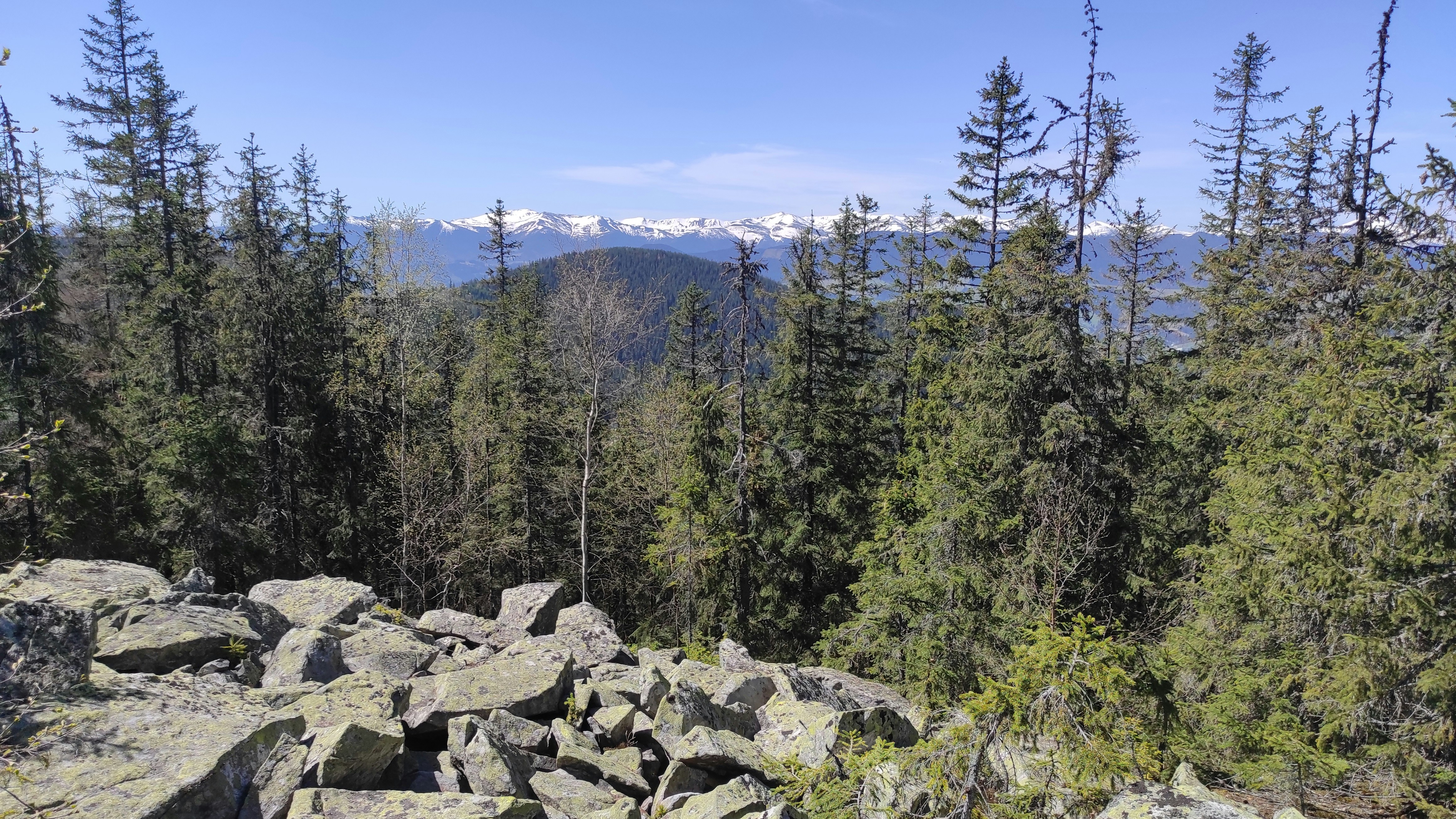 Photo by valentyna_kobrina