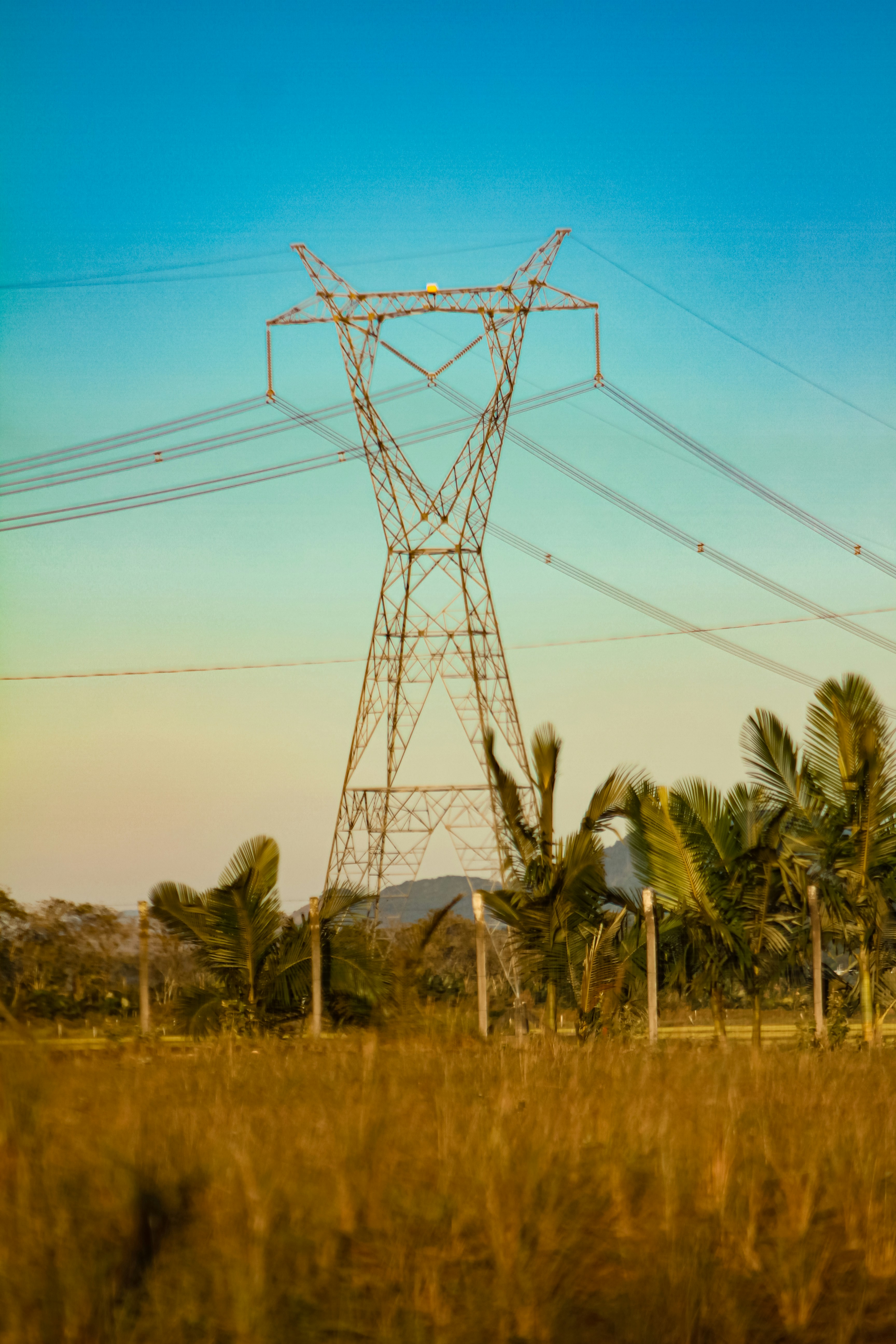 Photo by najoi_designer