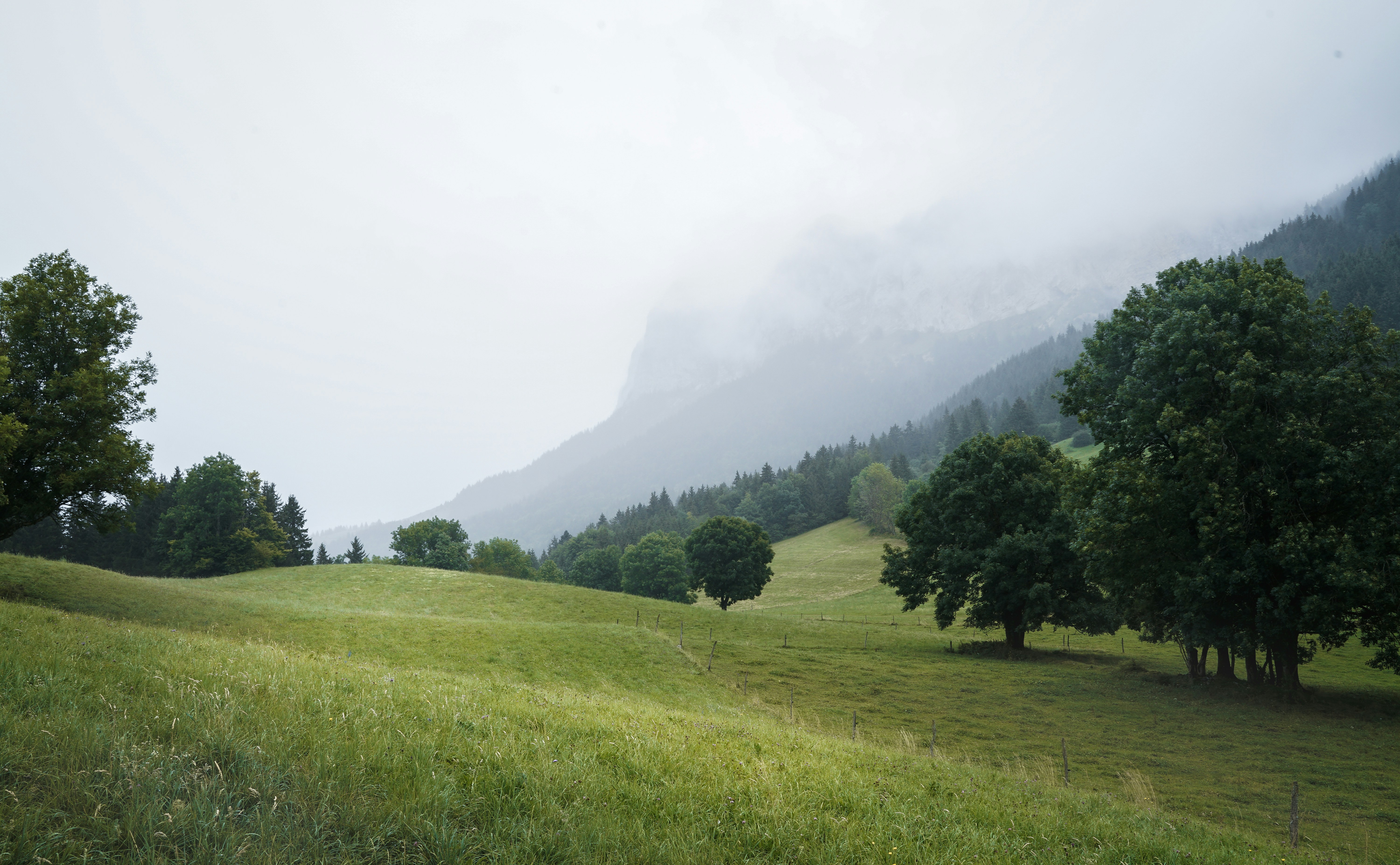 Photo by floriancordier