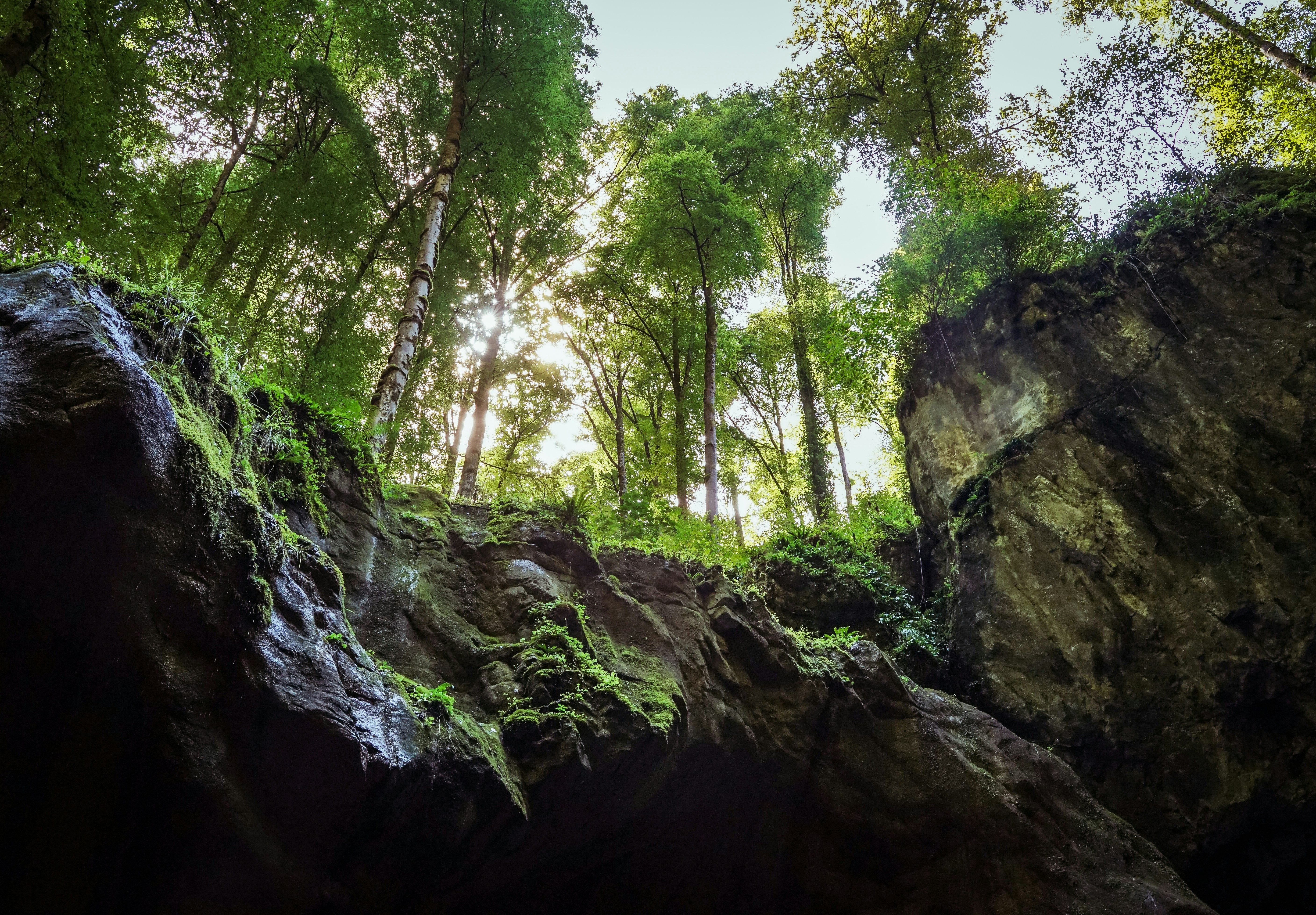 Photo by floriancordier