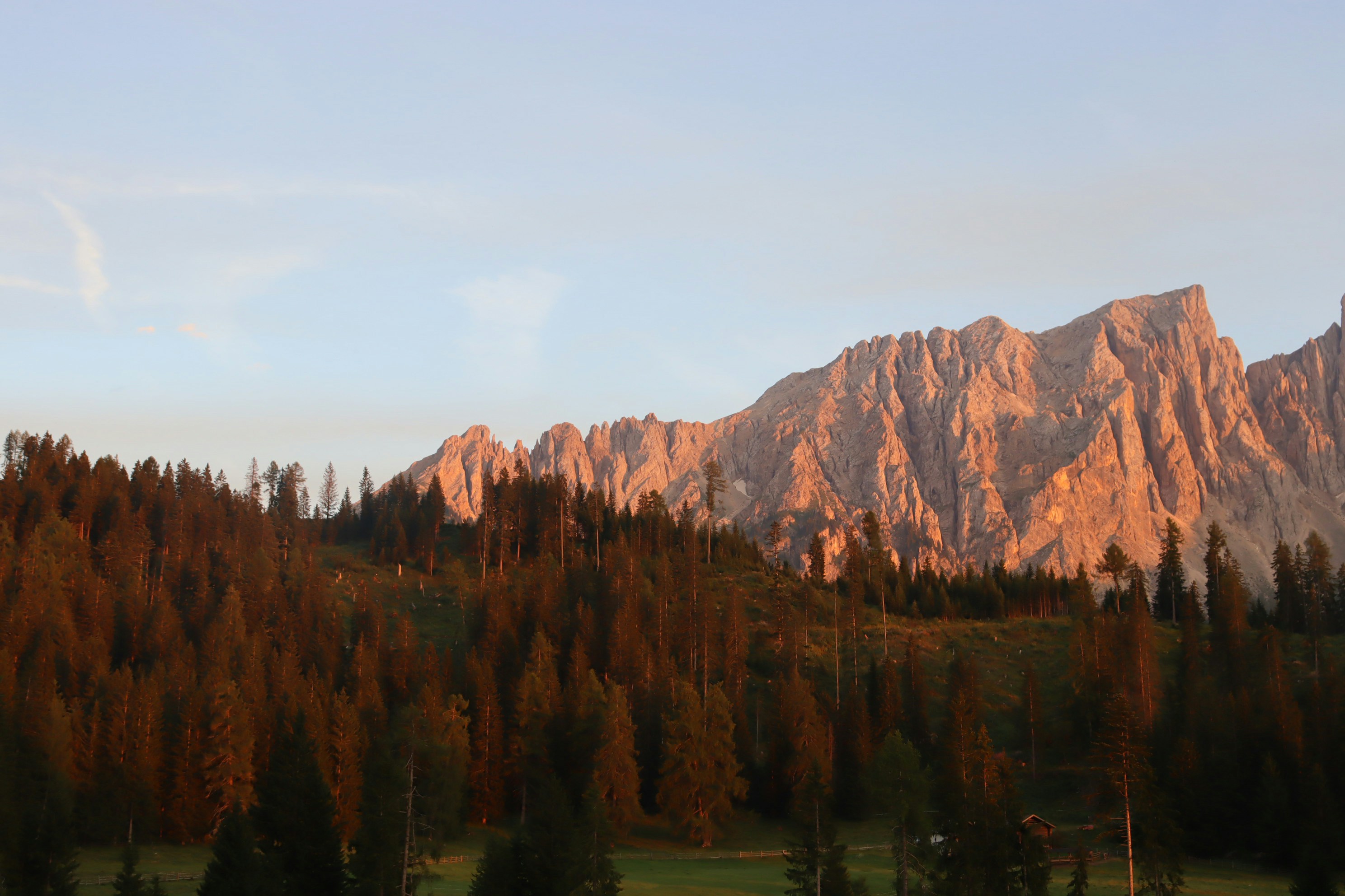 Vista de uma cordilheira com árvores em primeiro plano