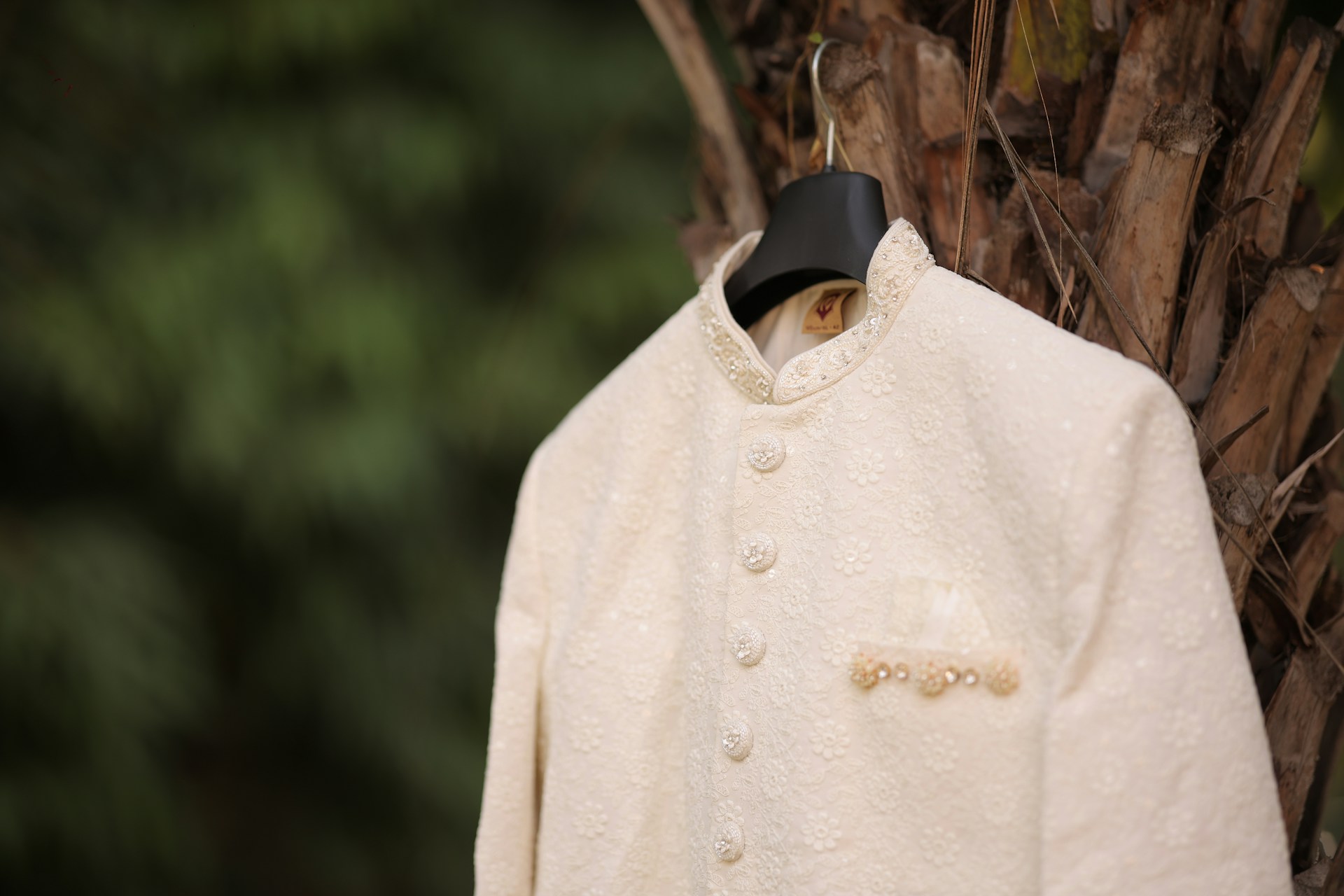 A white jacket is hanging on a tree