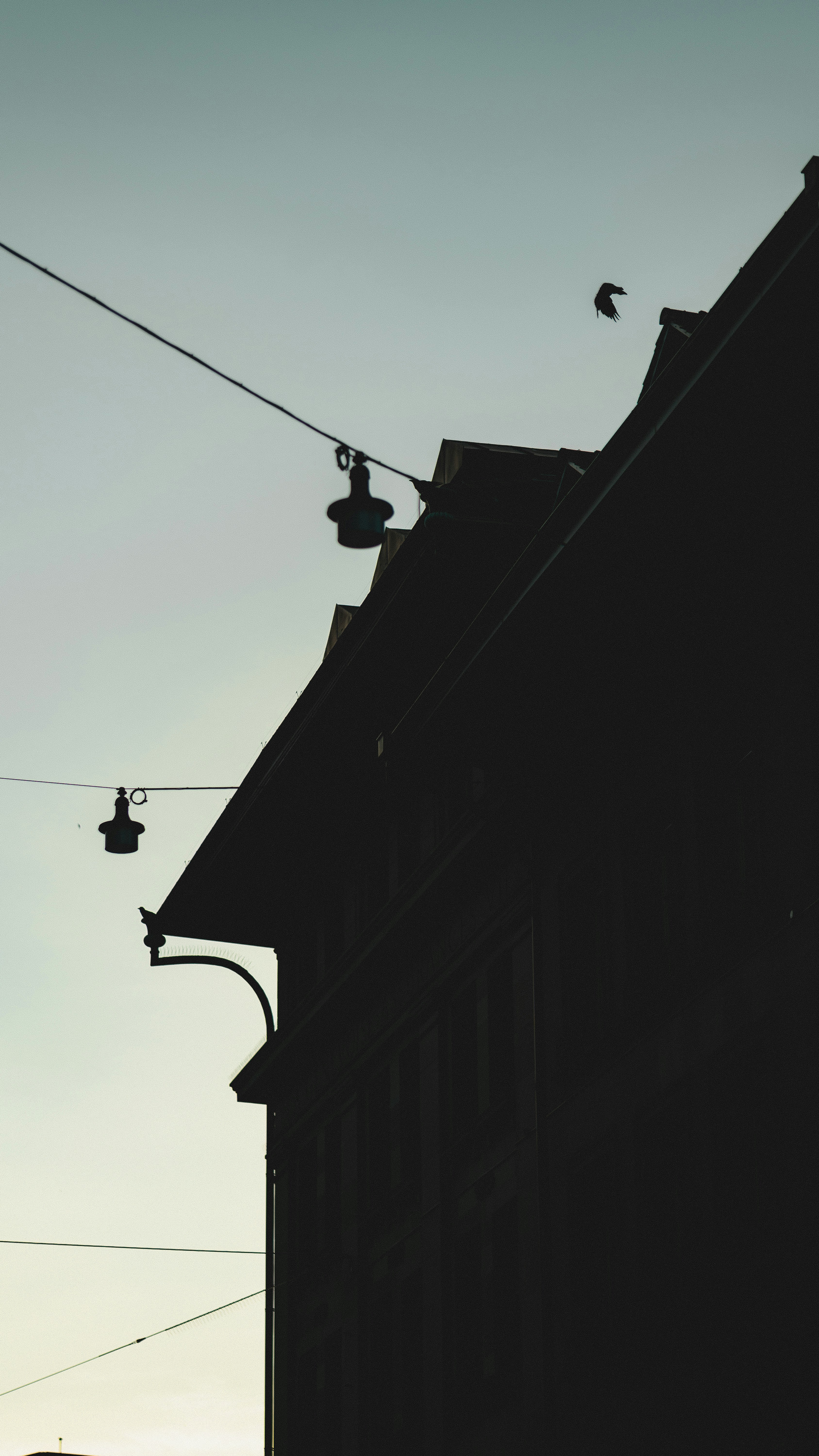 Photo by miguel_ind0