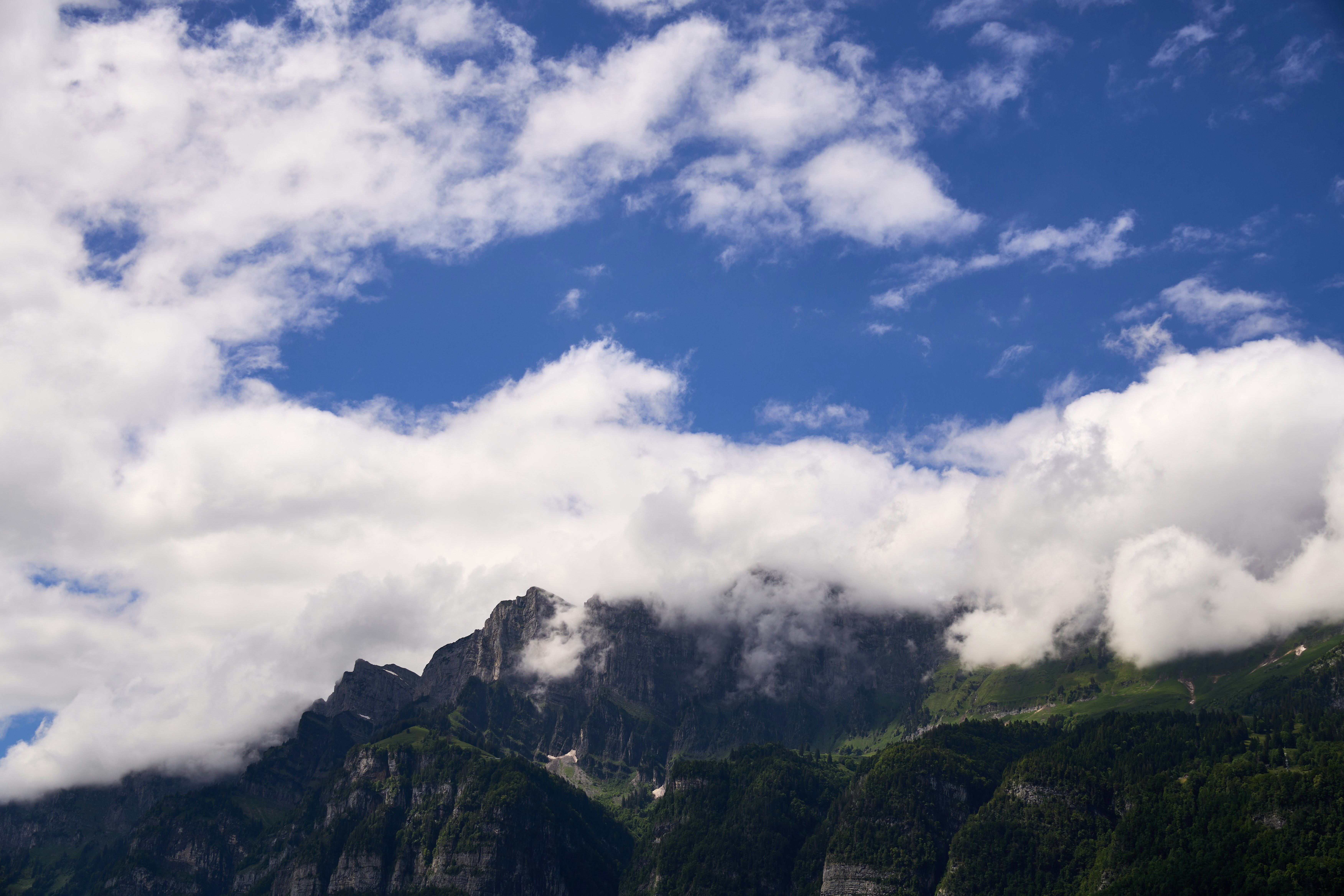 Photo by wolfgang_hasselmann