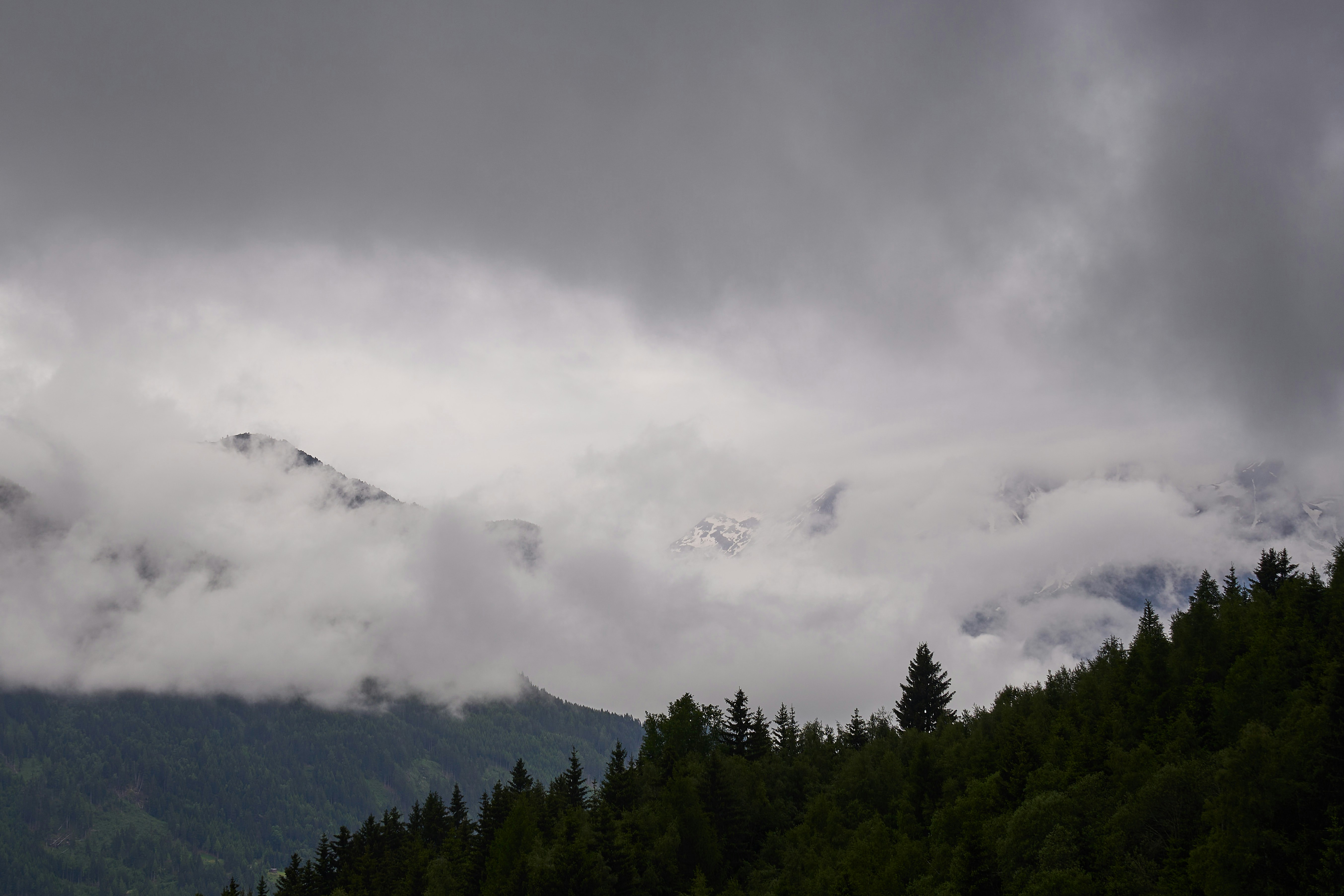 Photo by wolfgang_hasselmann