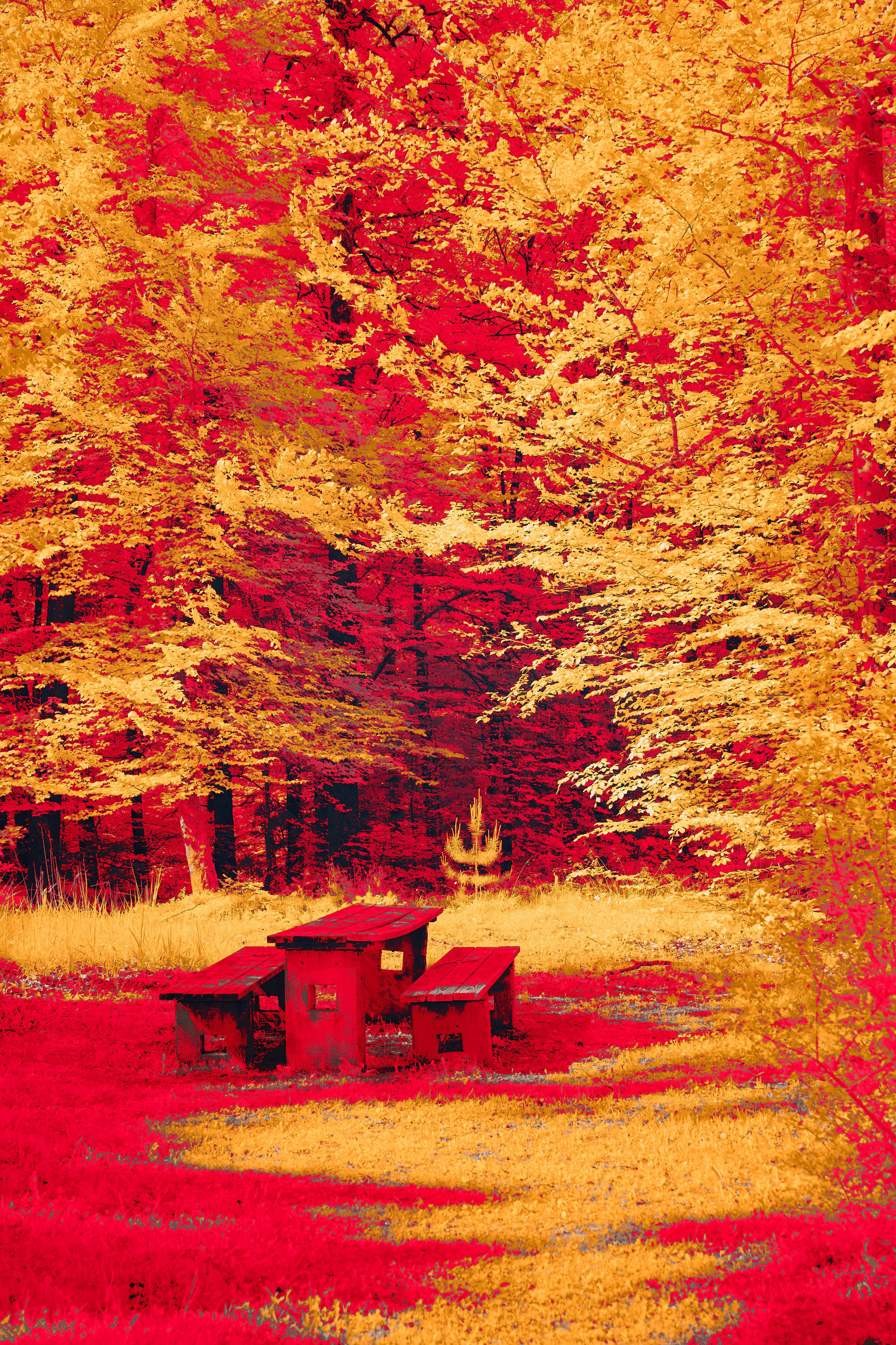 A red bench sitting in the middle of a forest