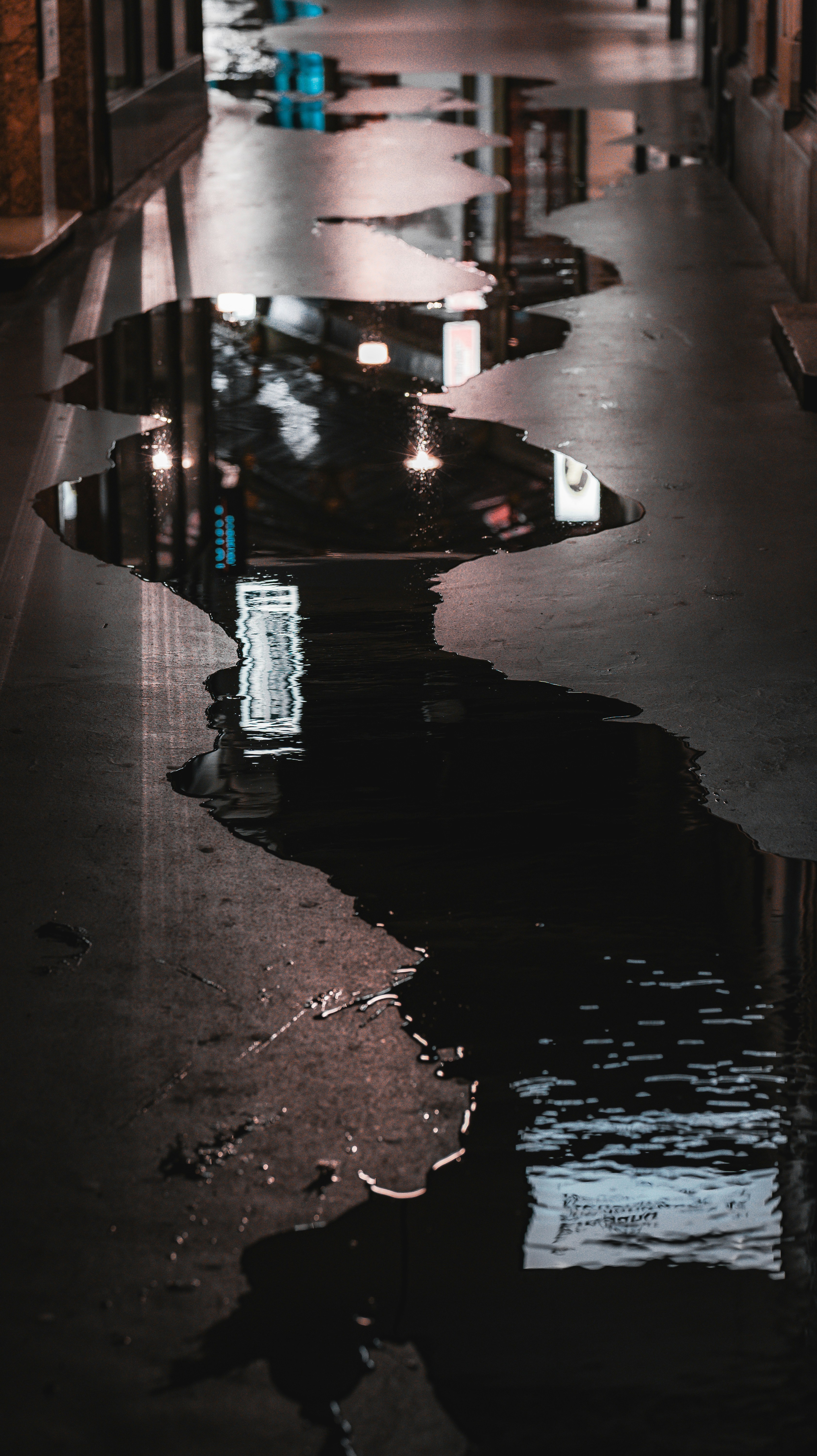 Photo by miguel_ind0