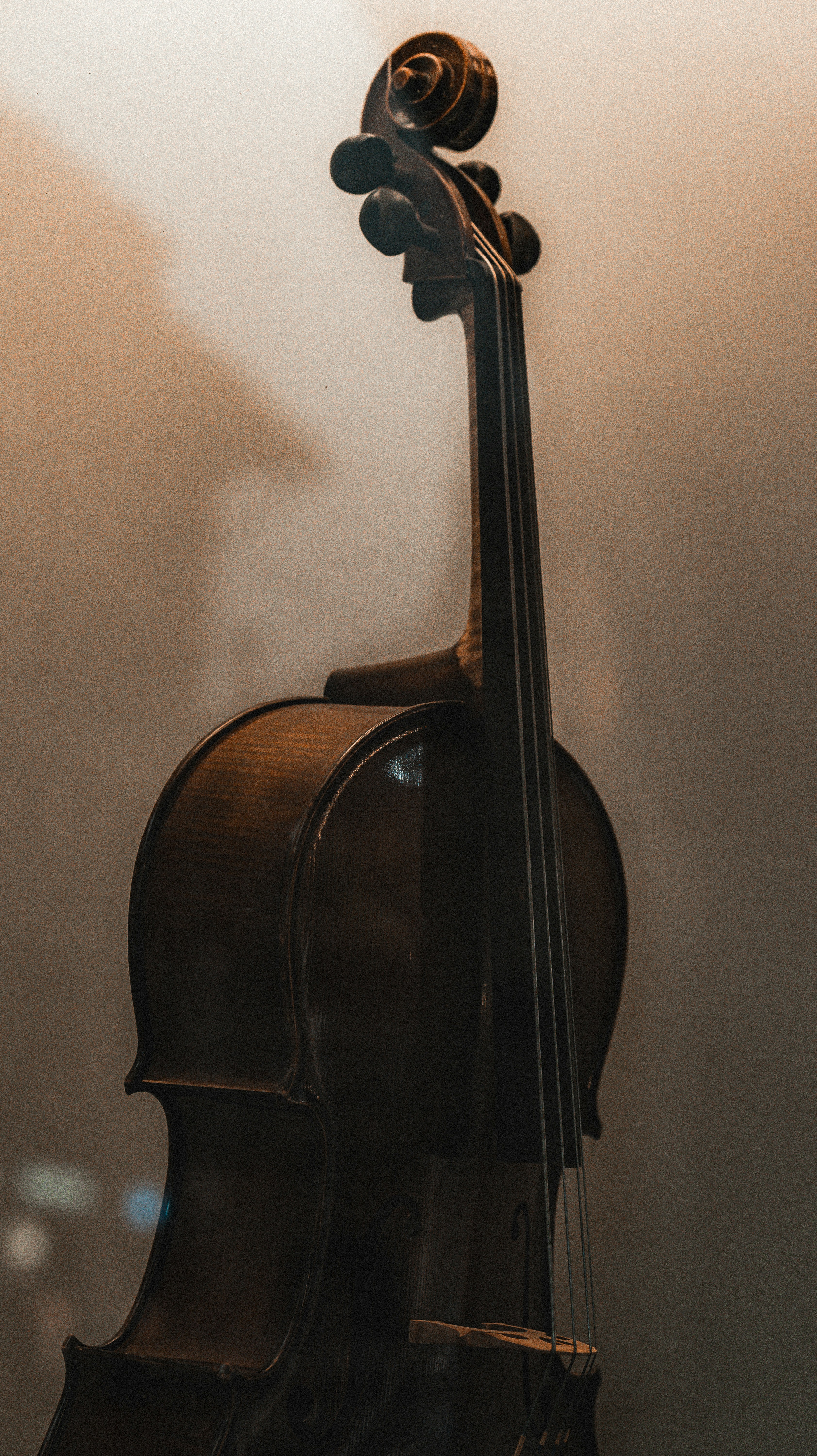 Photo by miguel_ind0