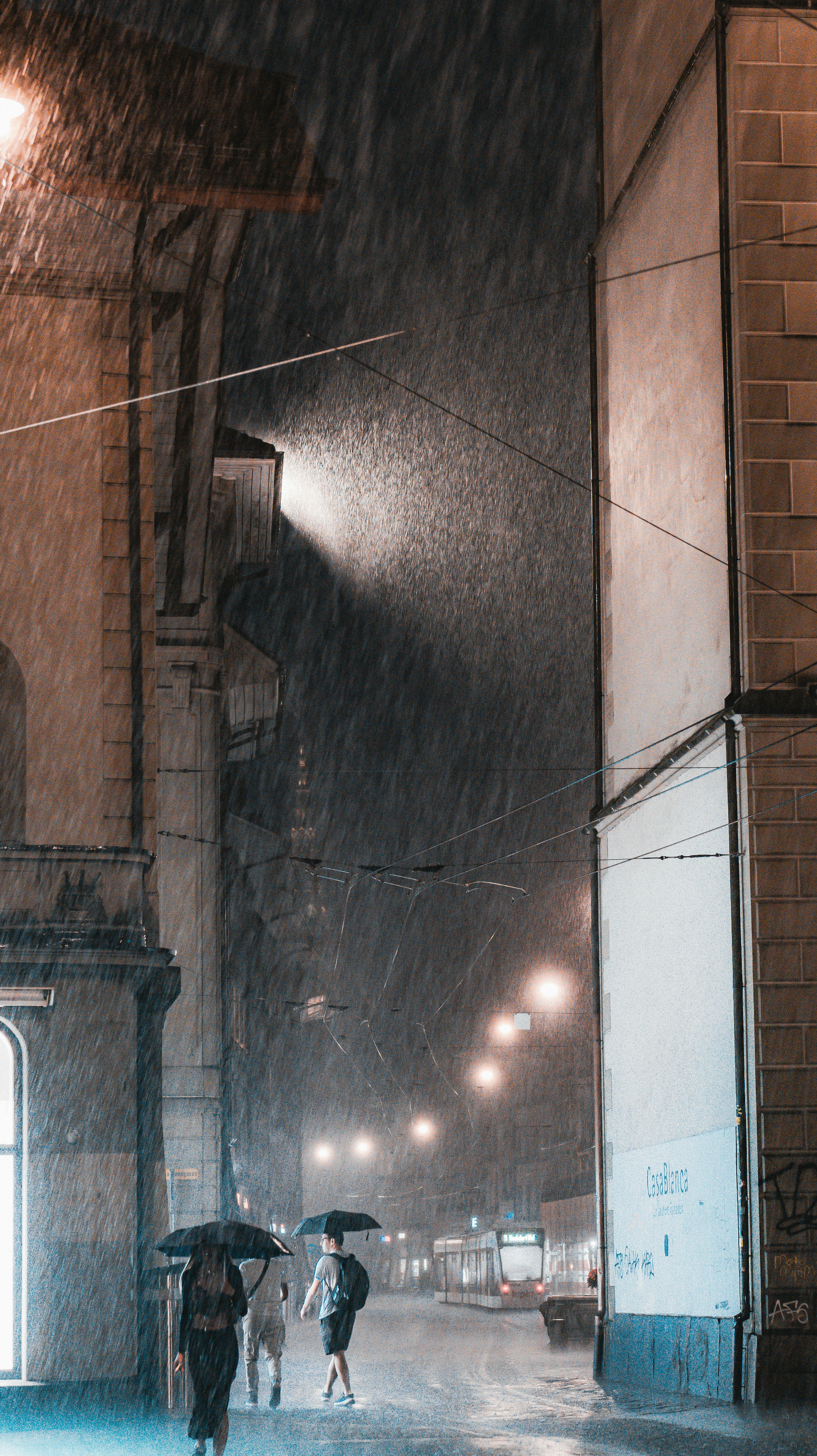 Photo by miguel_ind0