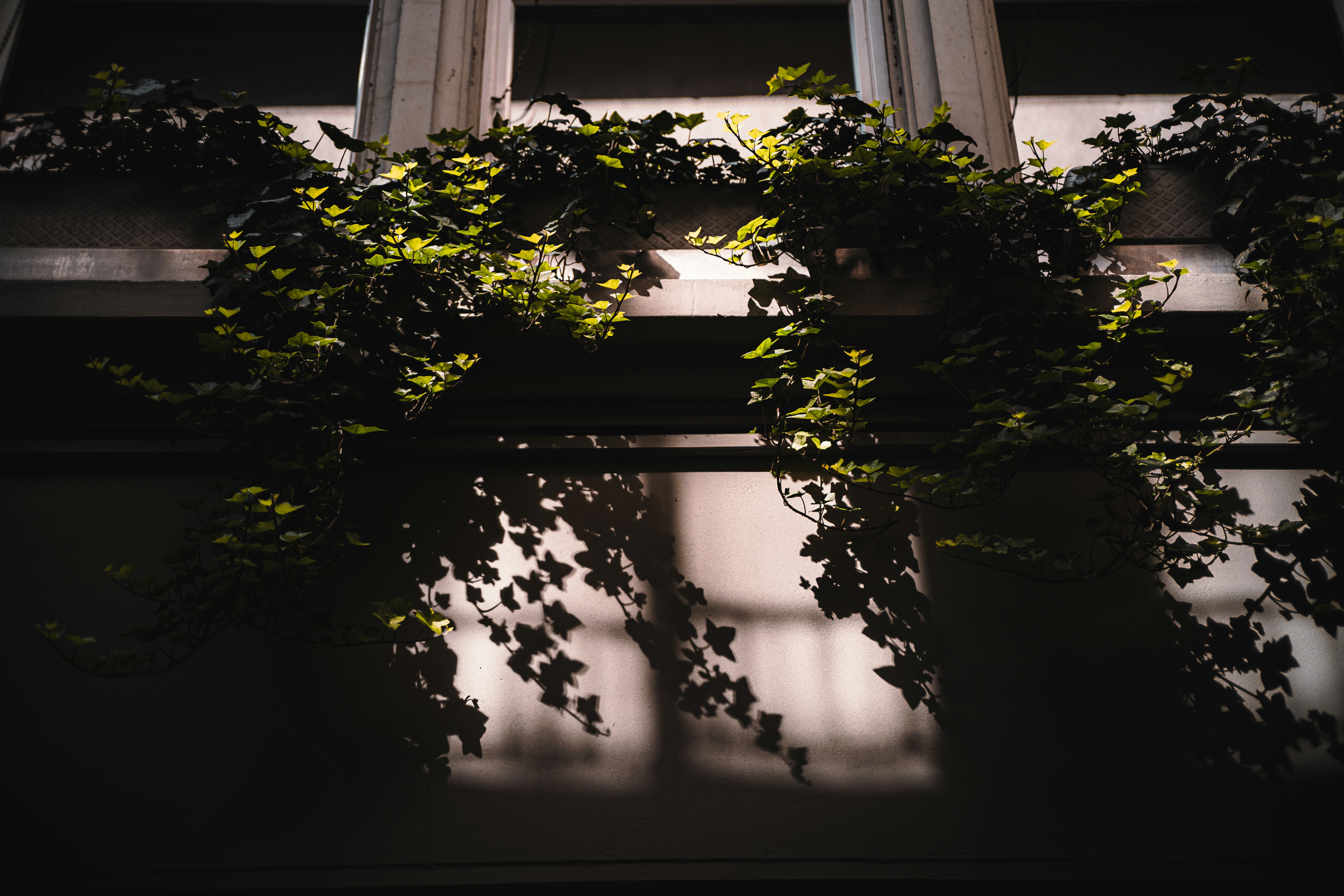 Photo by miguel_ind0