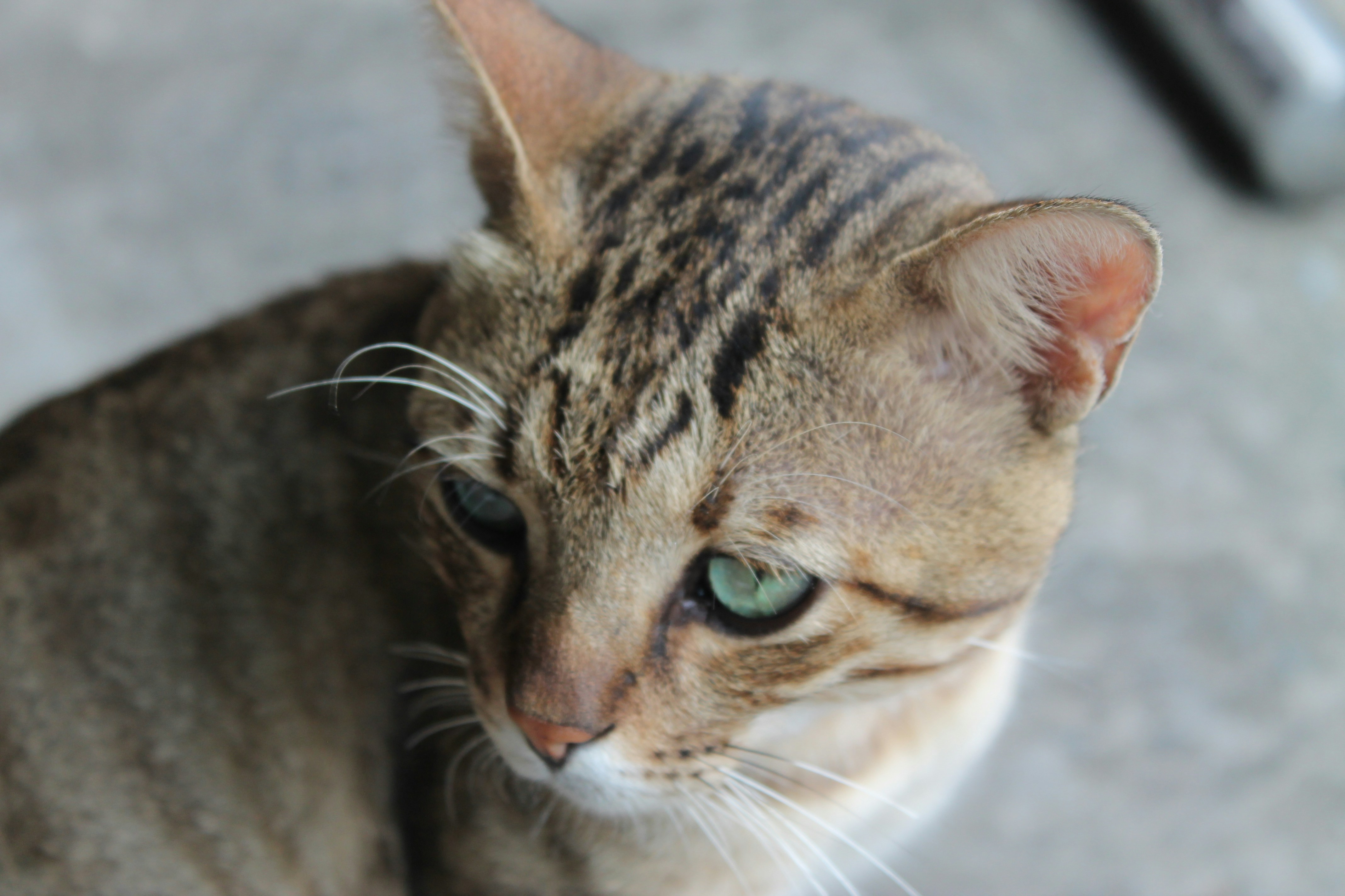 Photo by aaryen_kalia