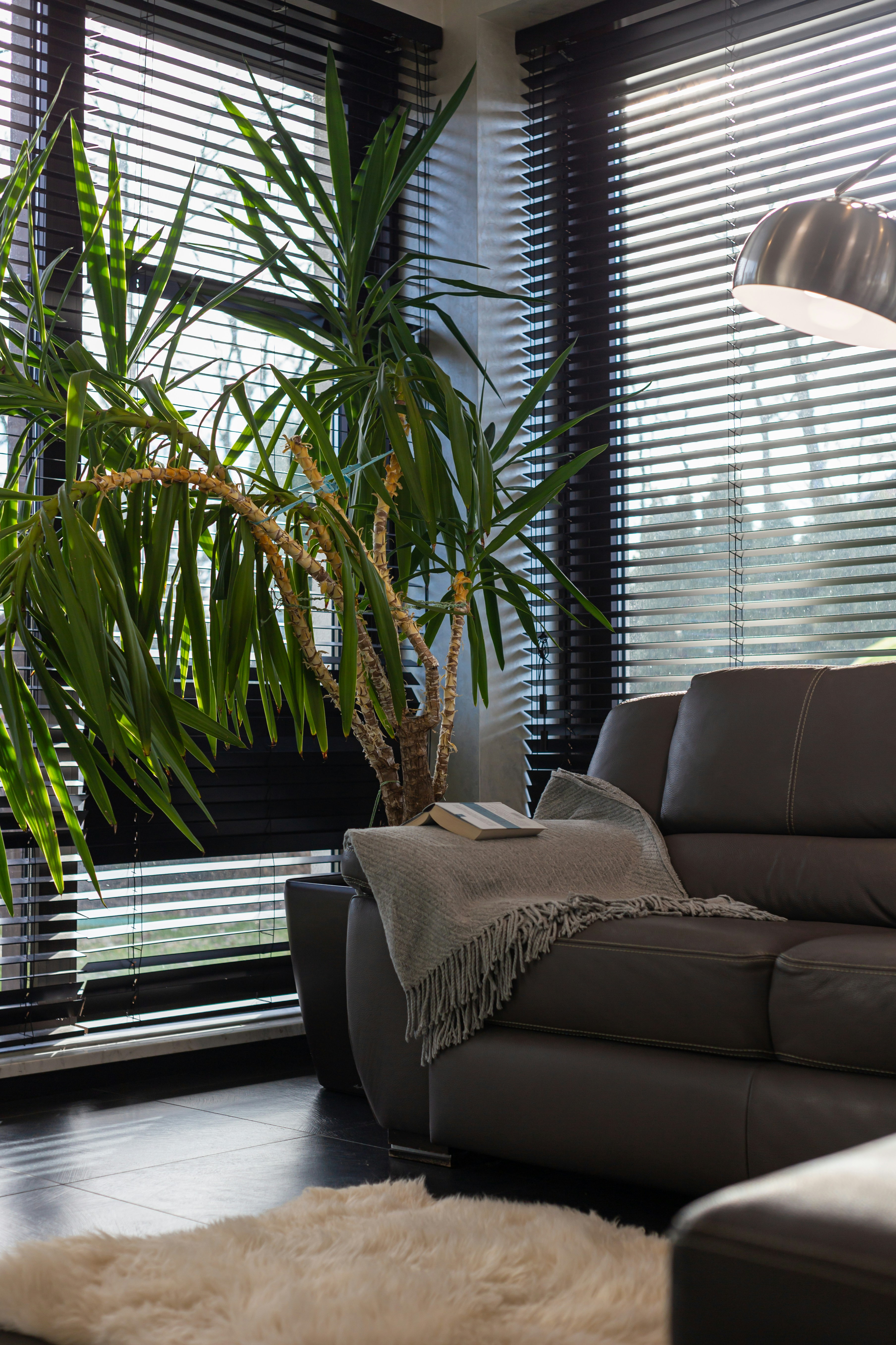 Photo by theprototype