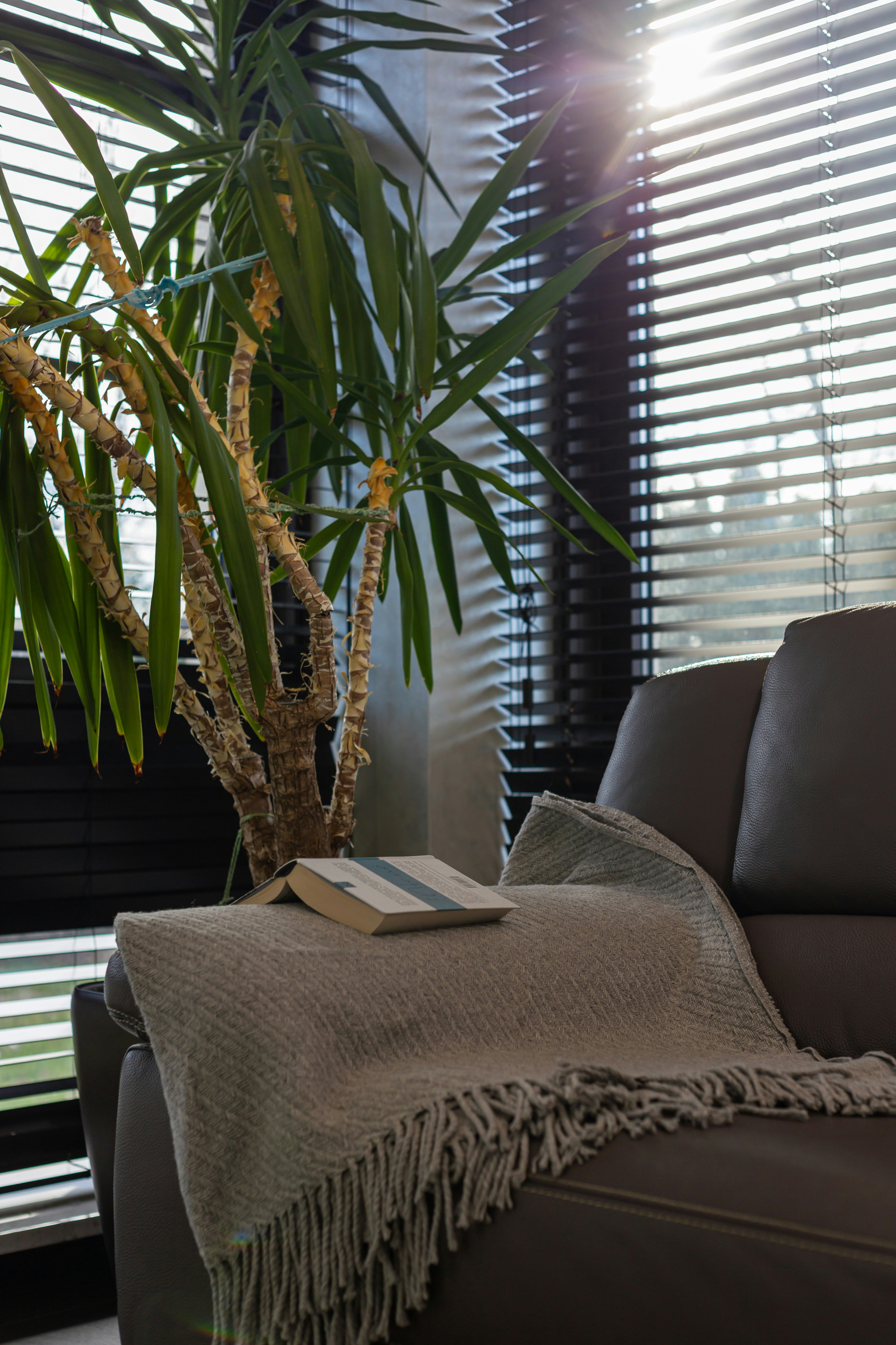 Photo by theprototype