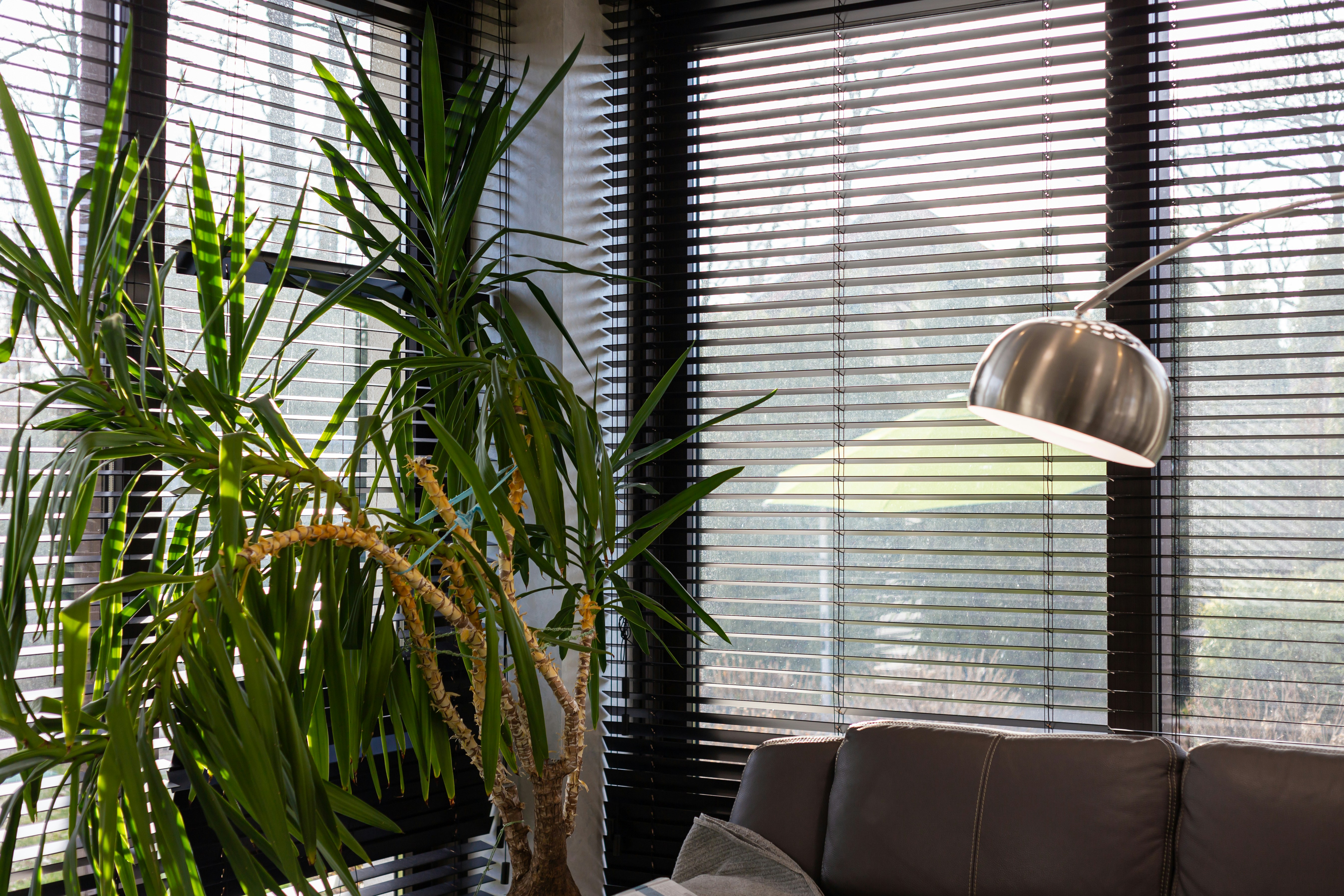 Photo by theprototype