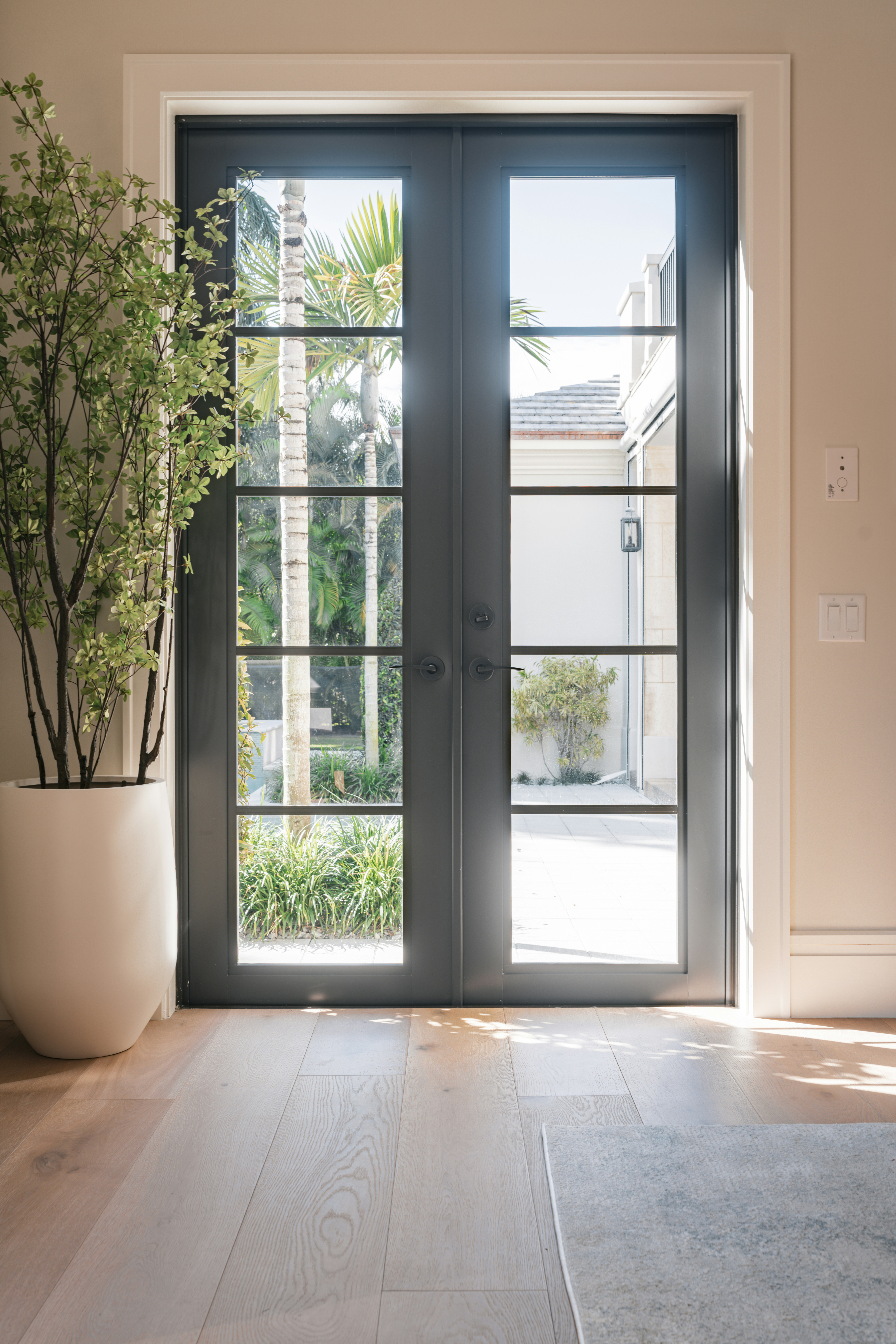 A room with a door and a potted plant
