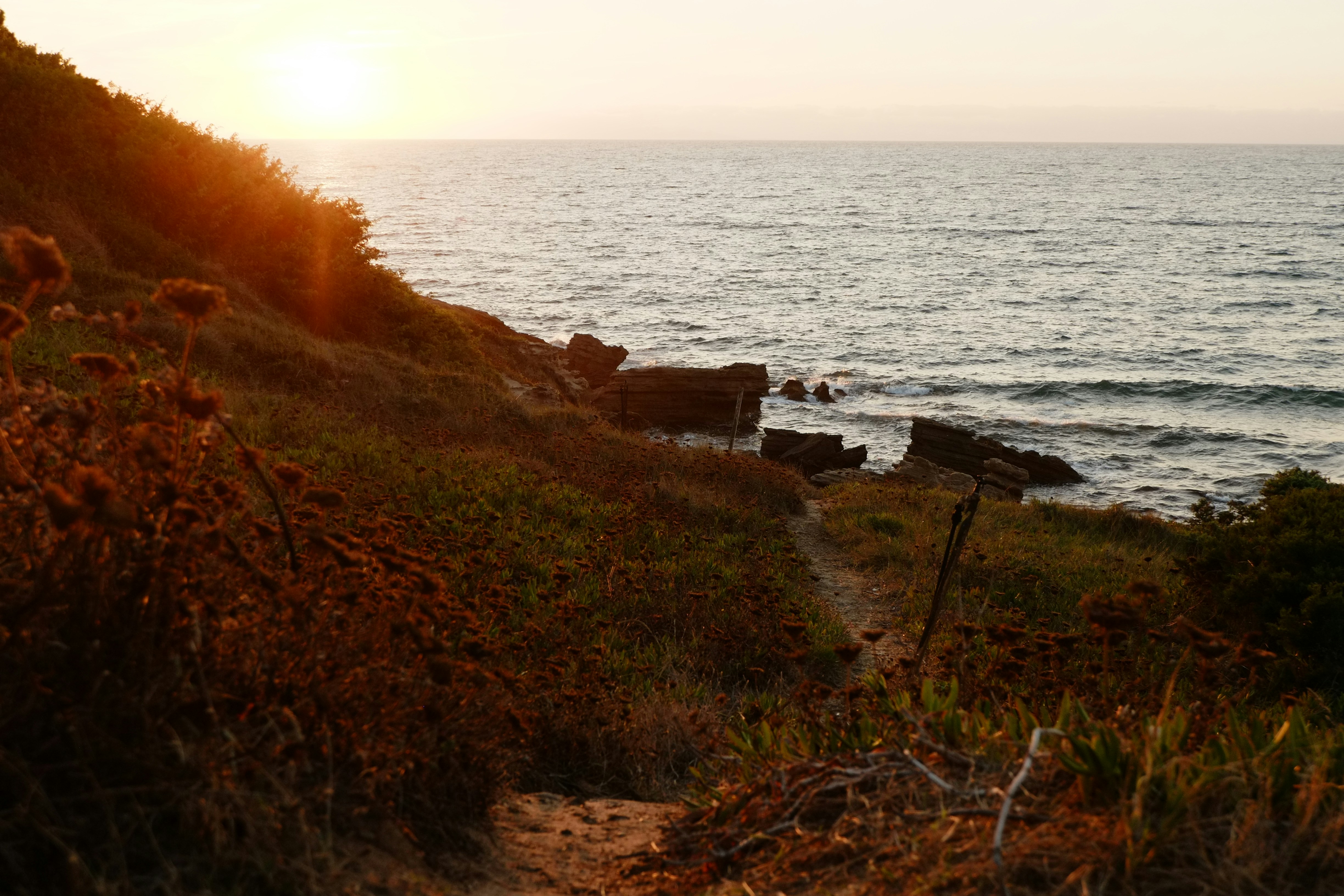 Photo by bernhardbar