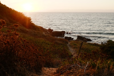 San Elijo State Beach