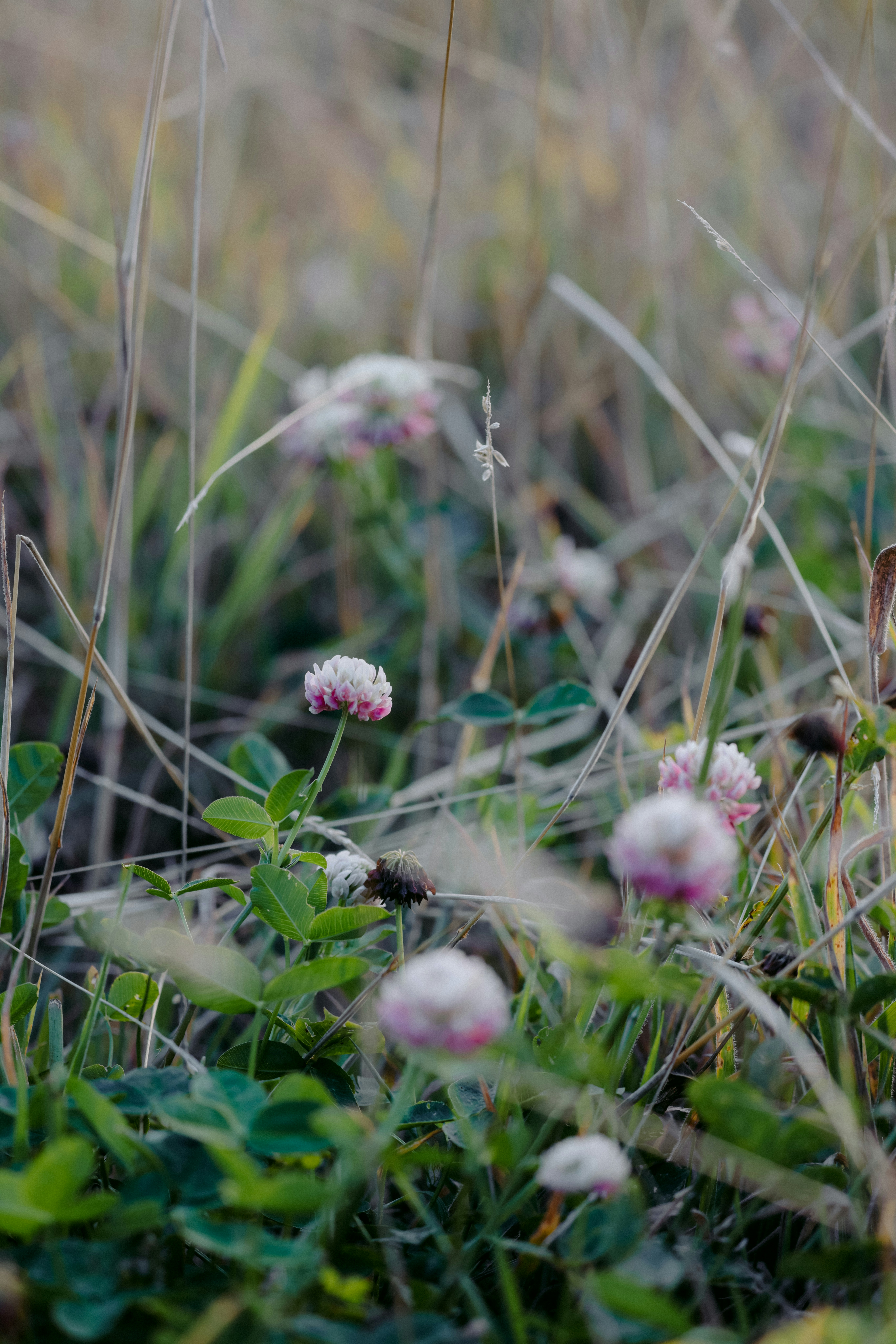 Photo by anniespratt