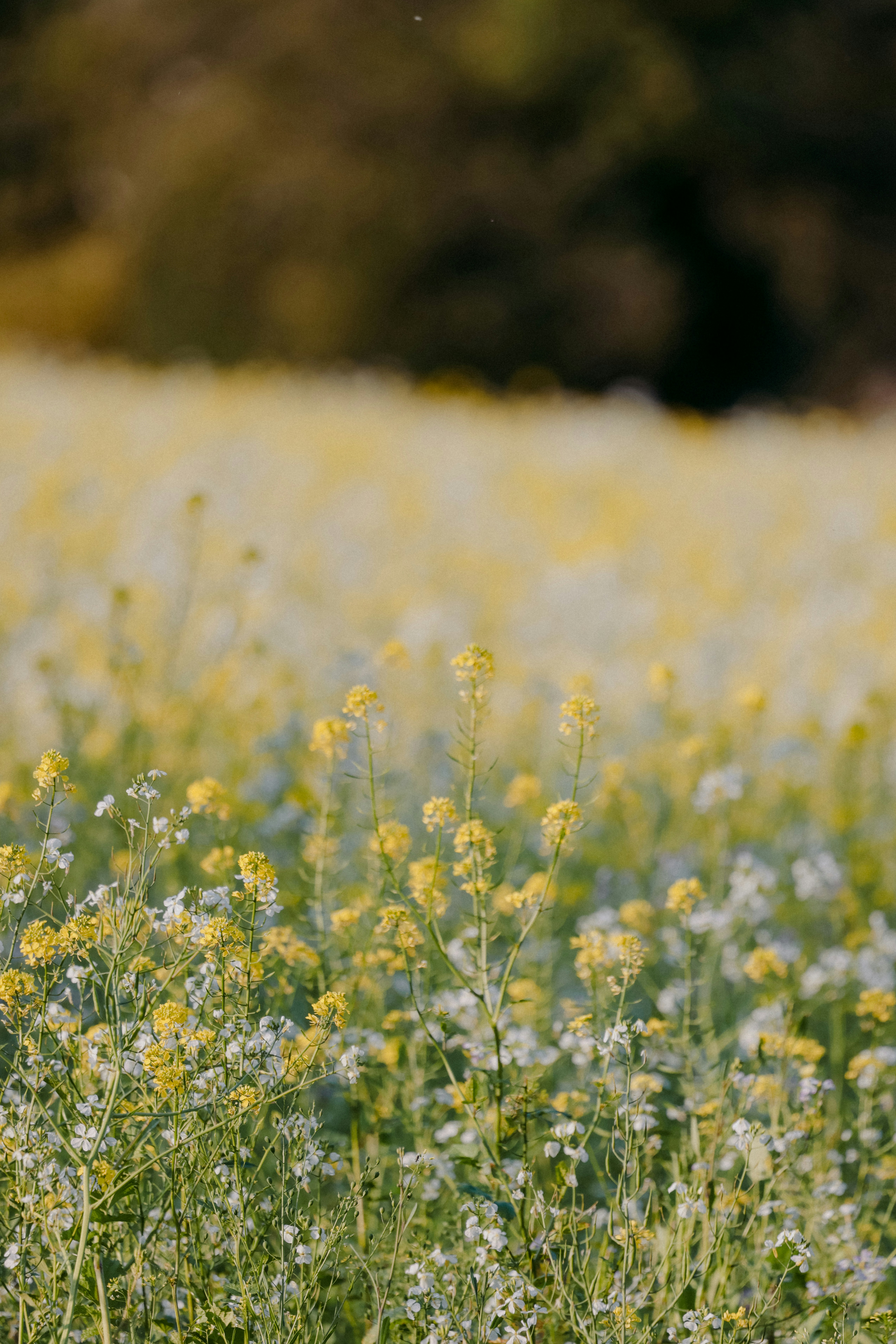 Photo by anniespratt