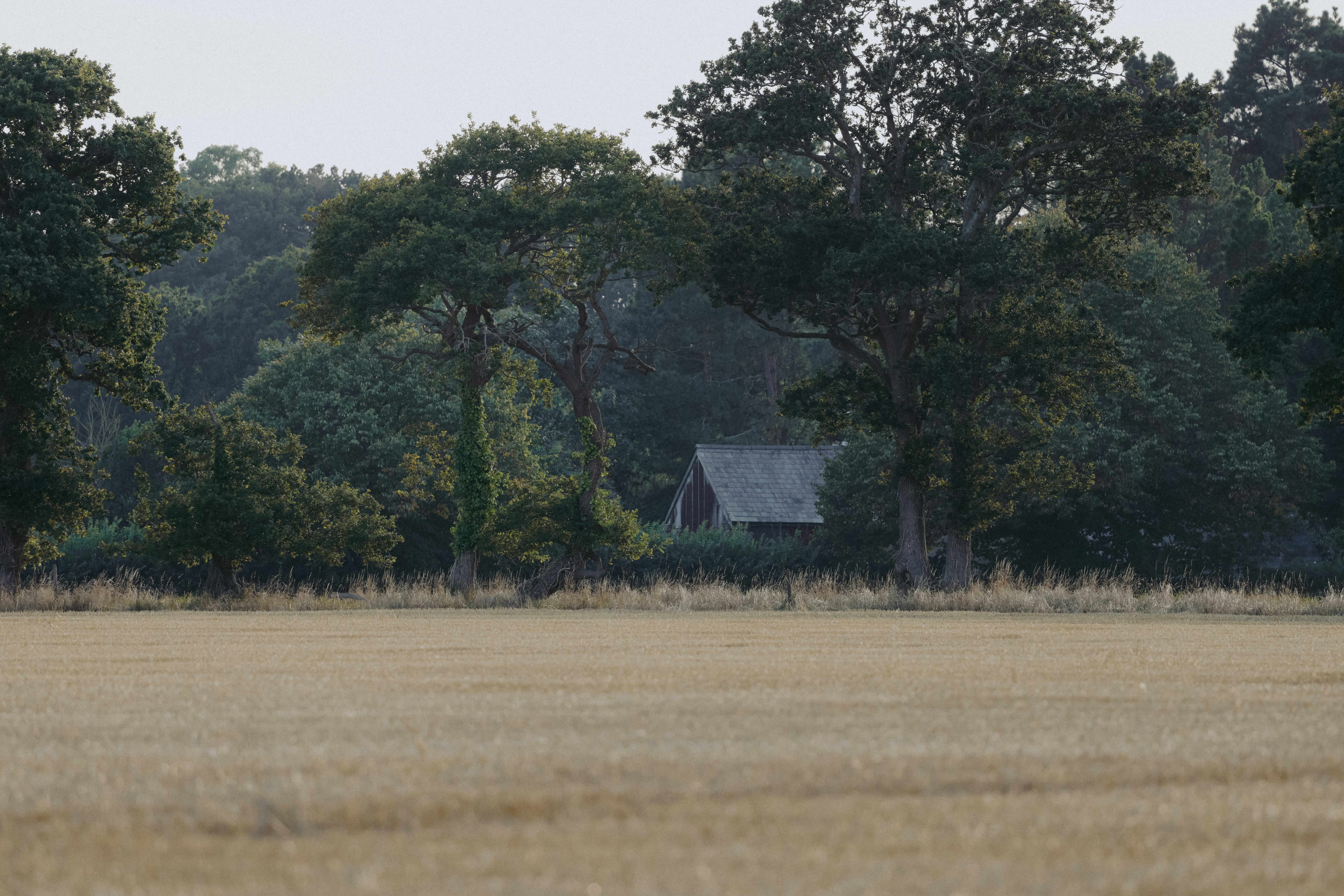 Photo by anniespratt