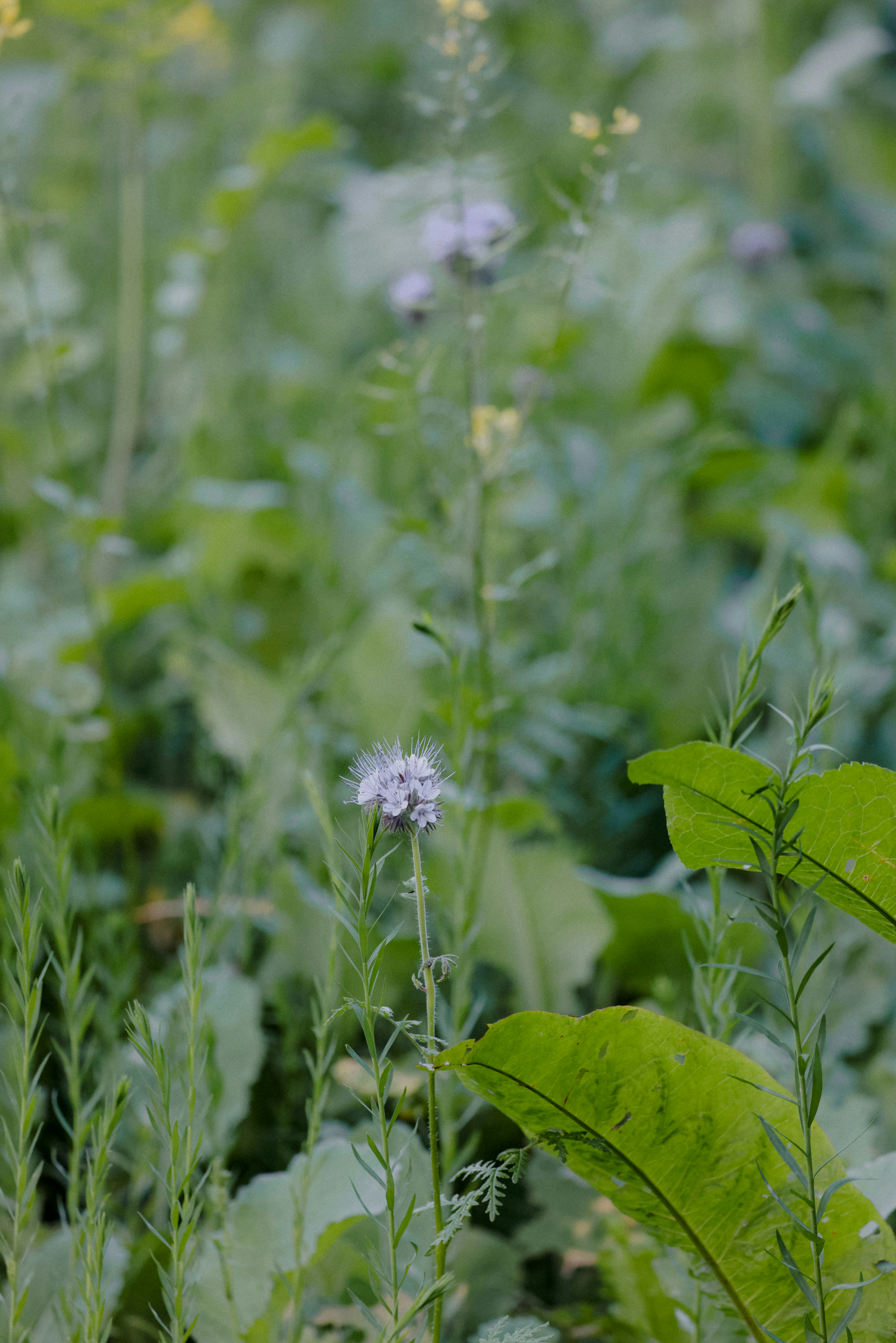 Photo by anniespratt