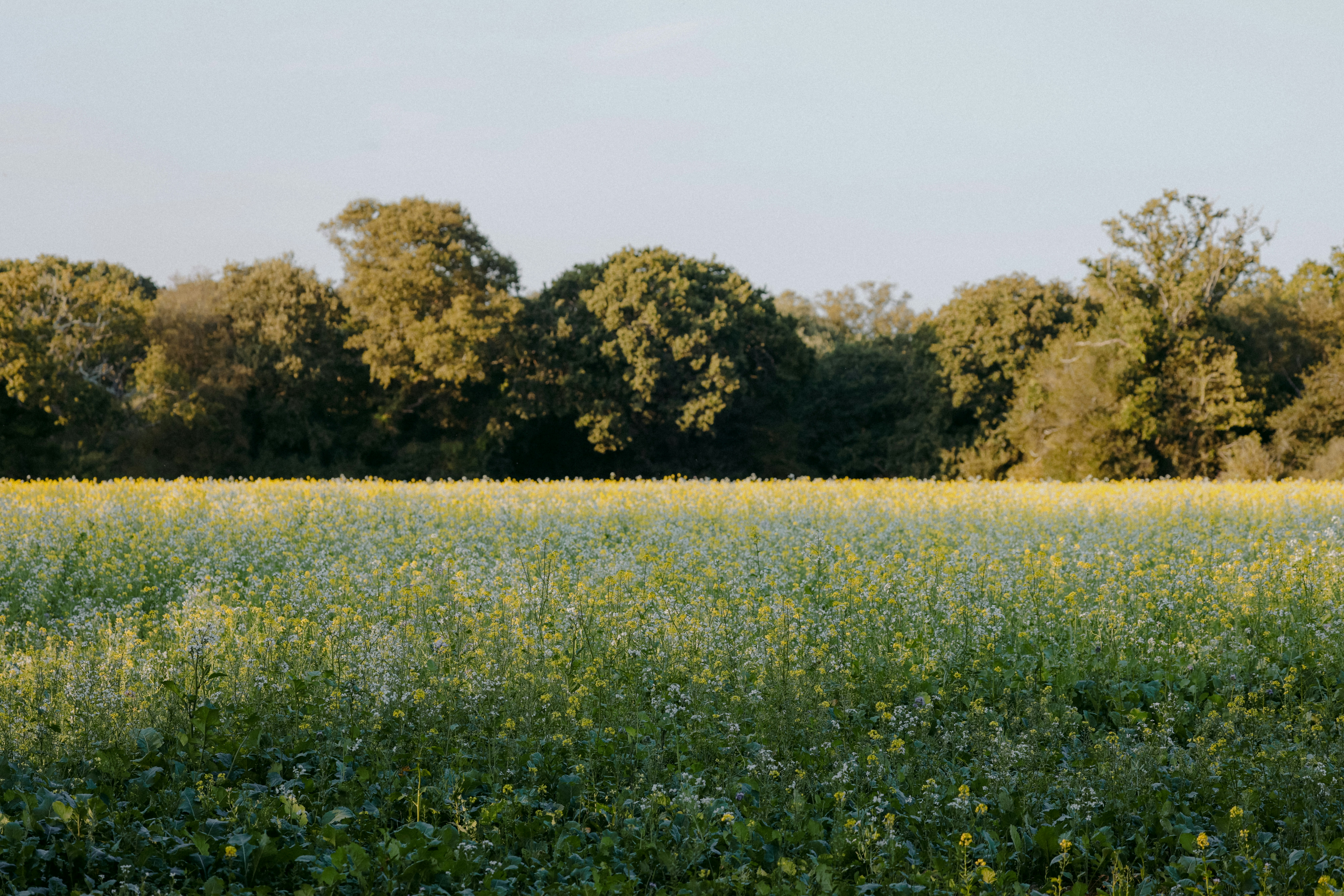 Photo by anniespratt