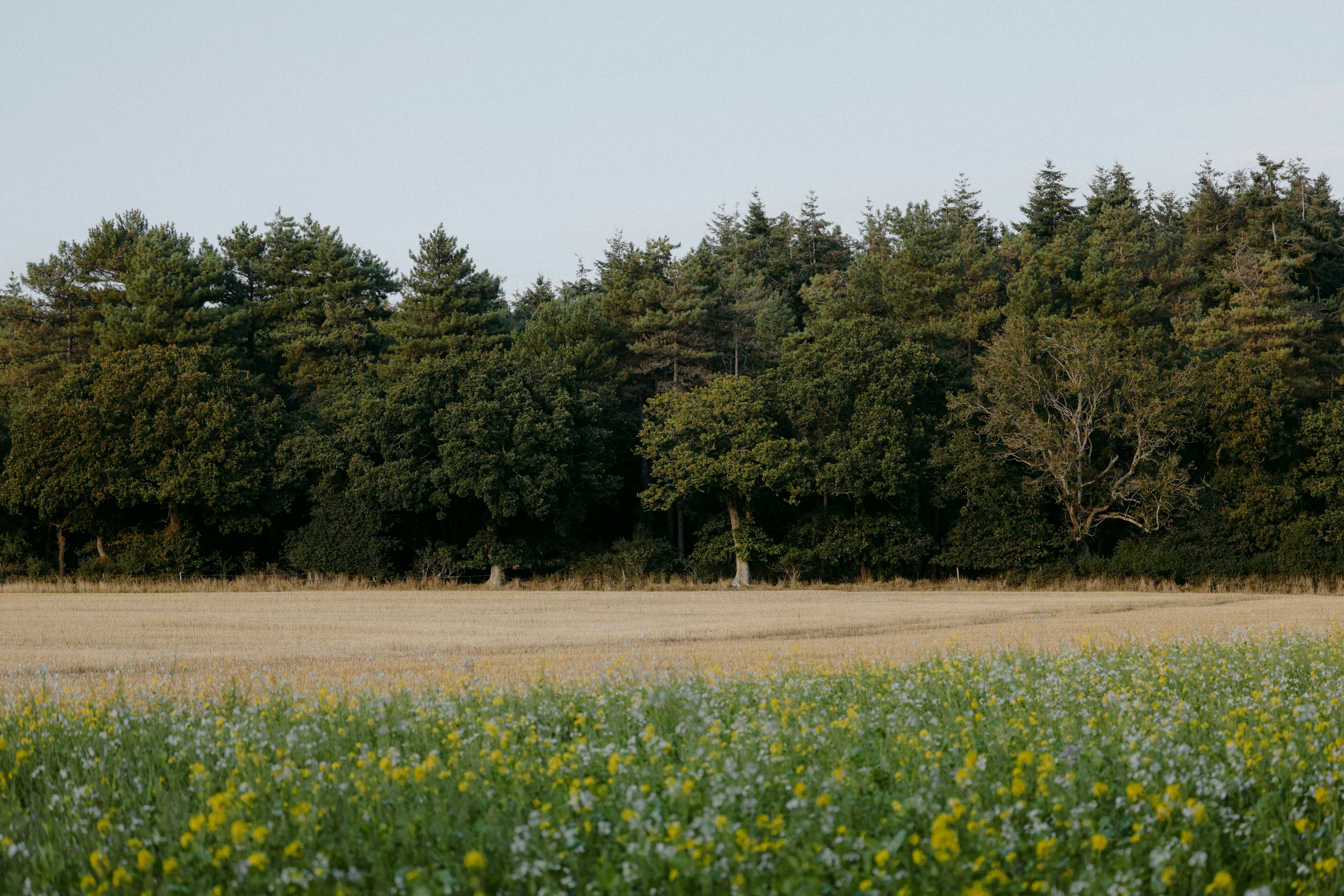 Photo by anniespratt