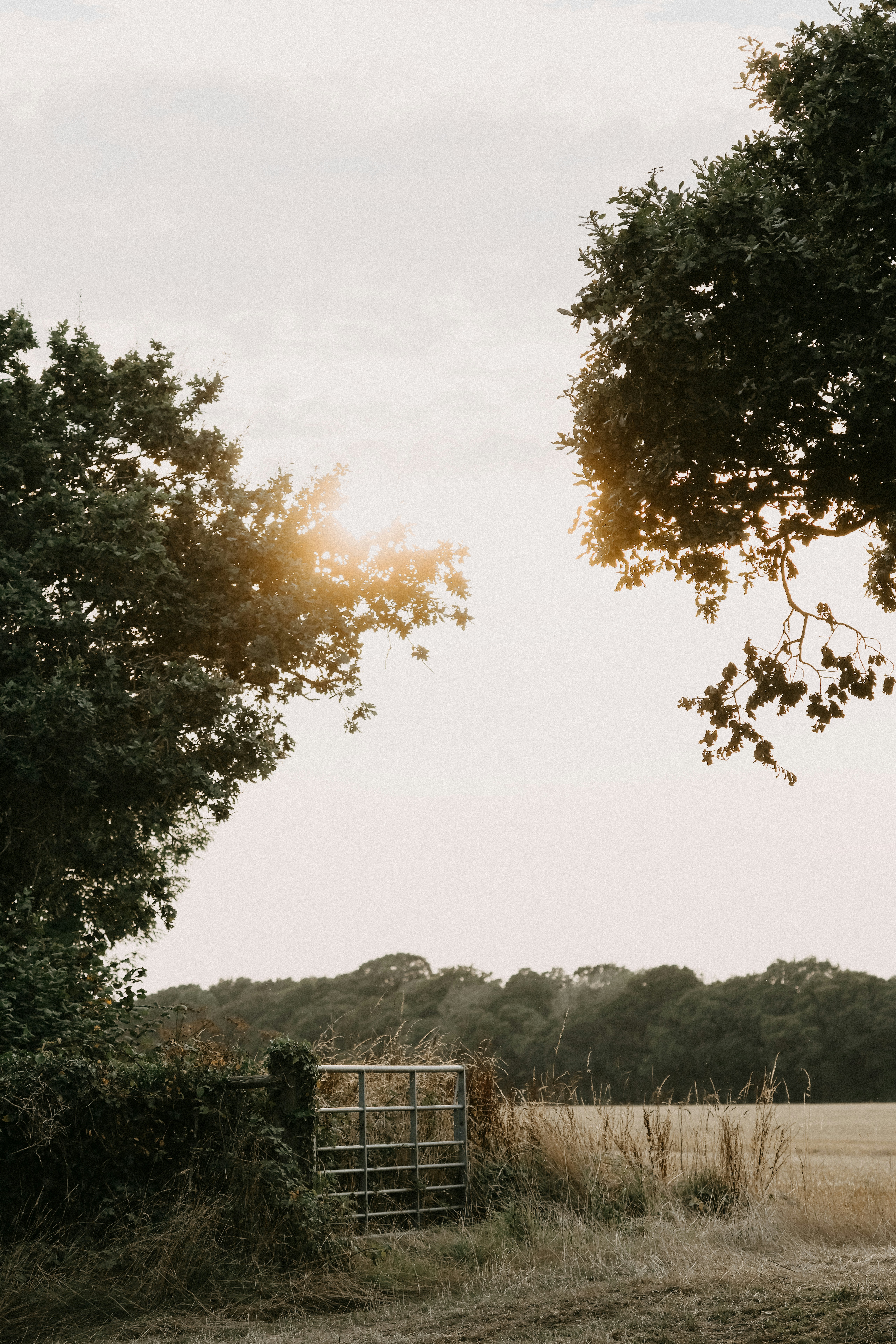 Photo by anniespratt