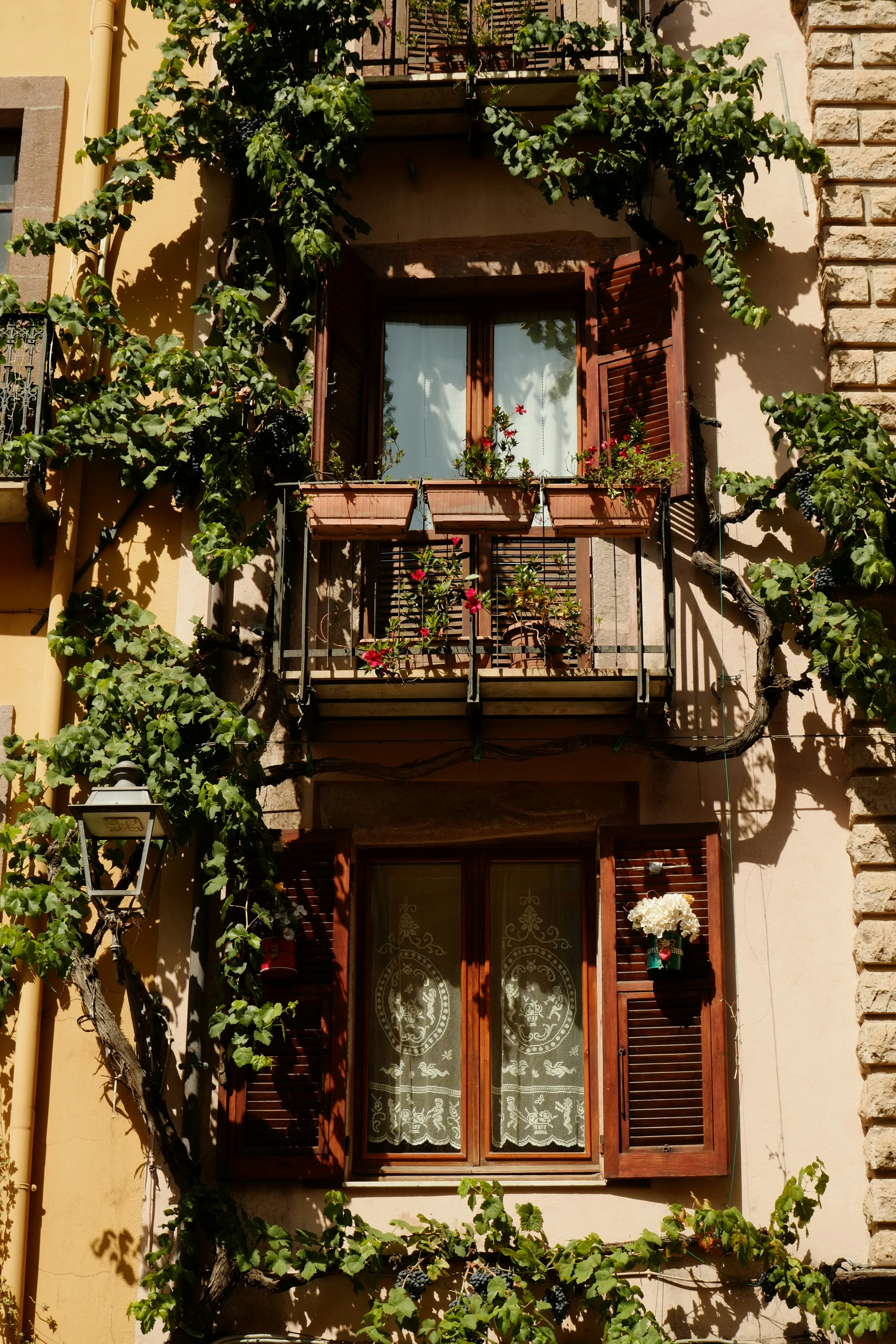 Photo by bernhardbar