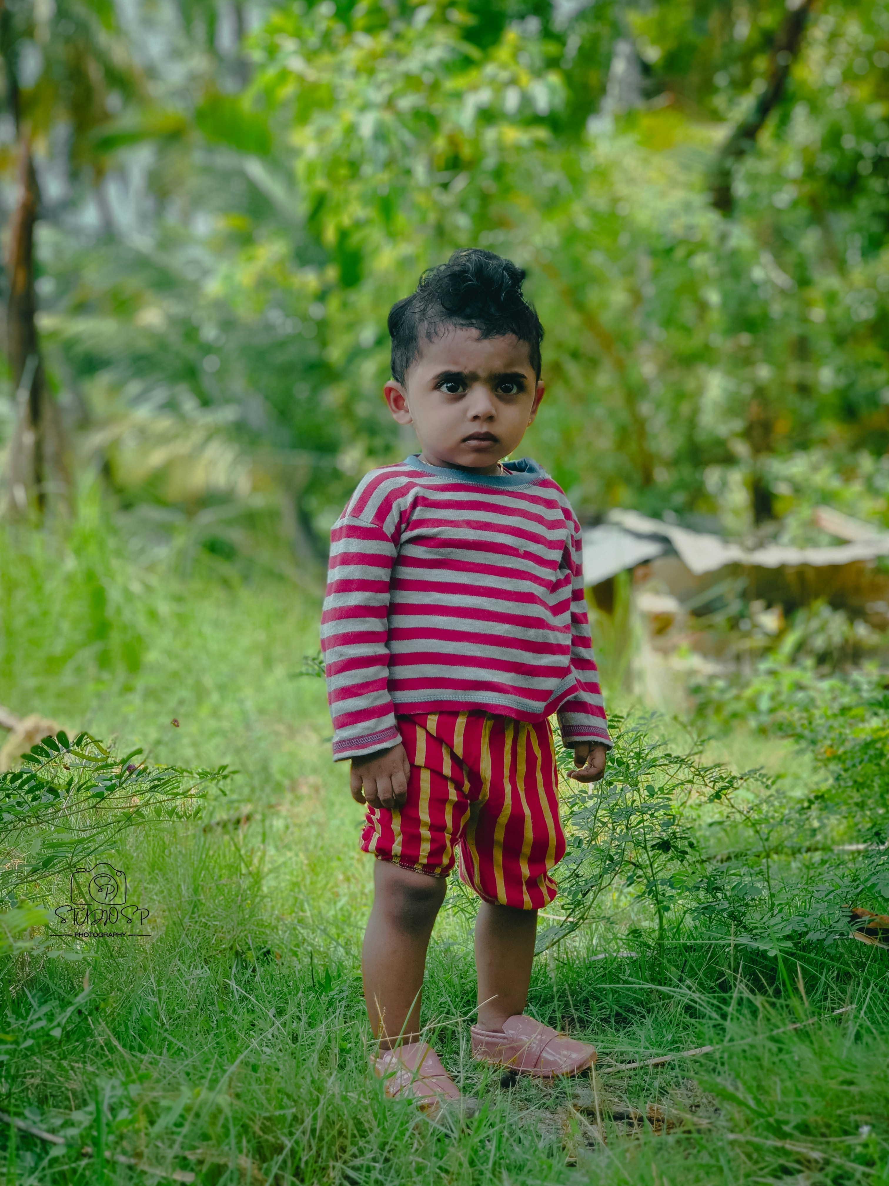 Photo by studiosp008