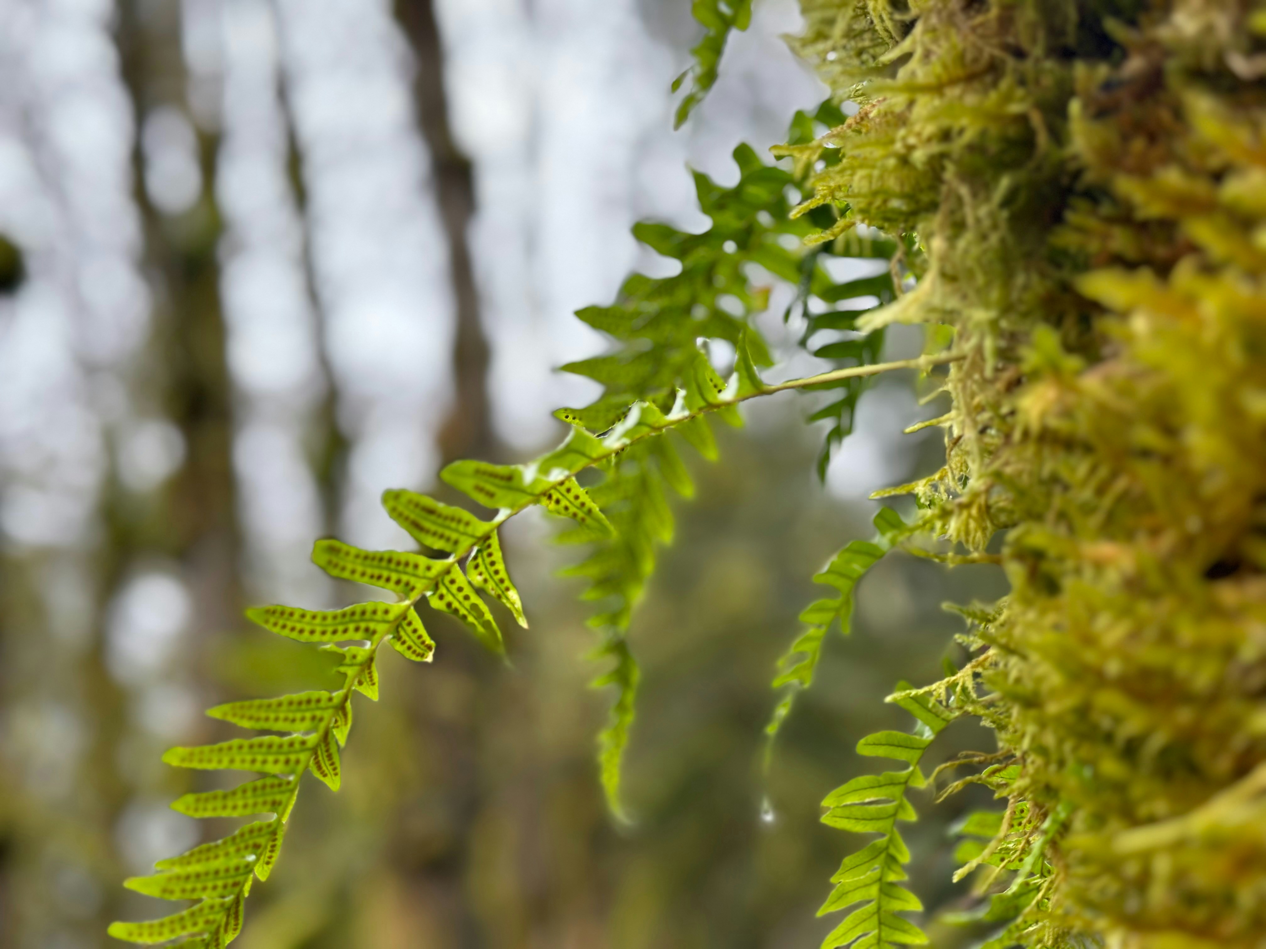 Photo by hazliey_132